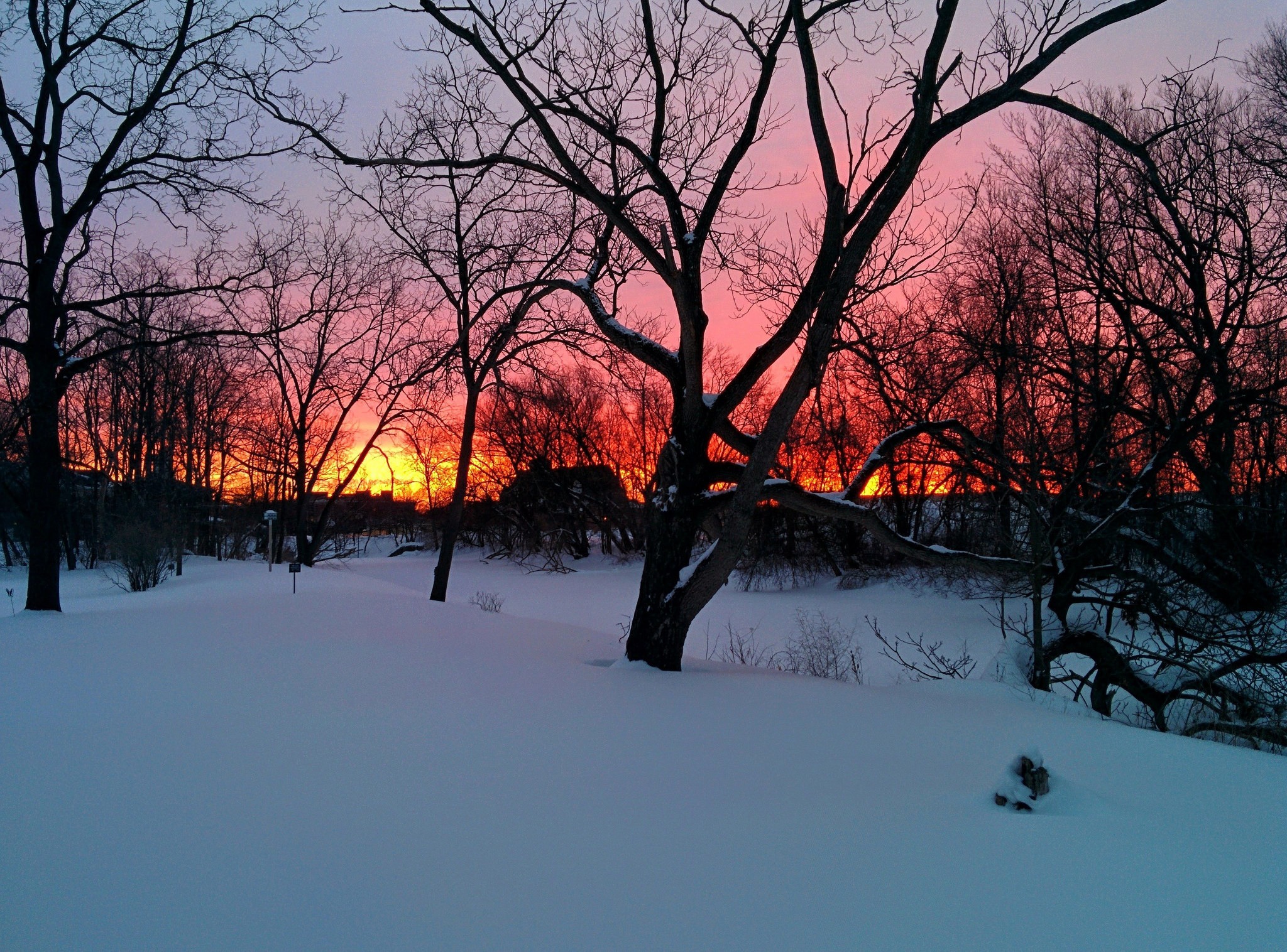 Snowy landscape with trees during sunset HD Wallpaper