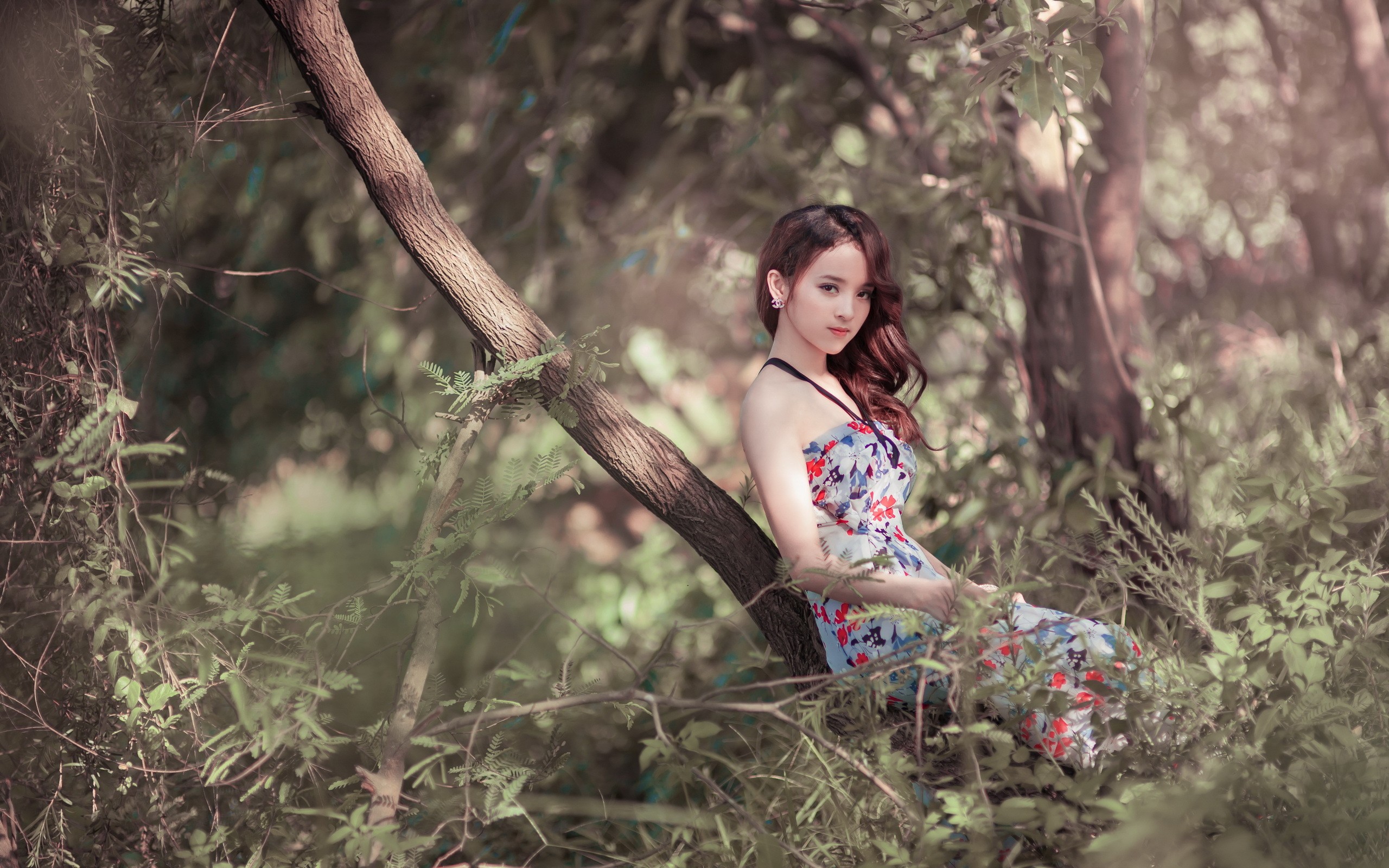 Asian woman in a floral dress sitting on a tree branch HD Wallpaper