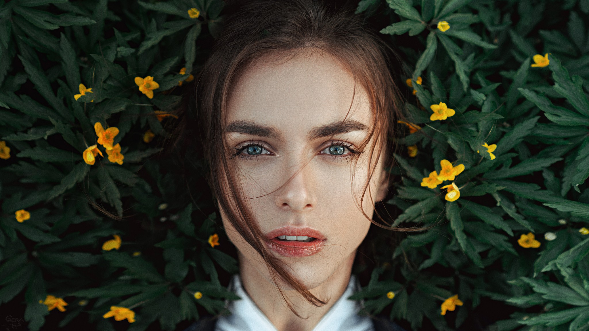 Portrait of Victoria Vishnevetskaya among green leaves and yellow flowers HD Wallpaper
