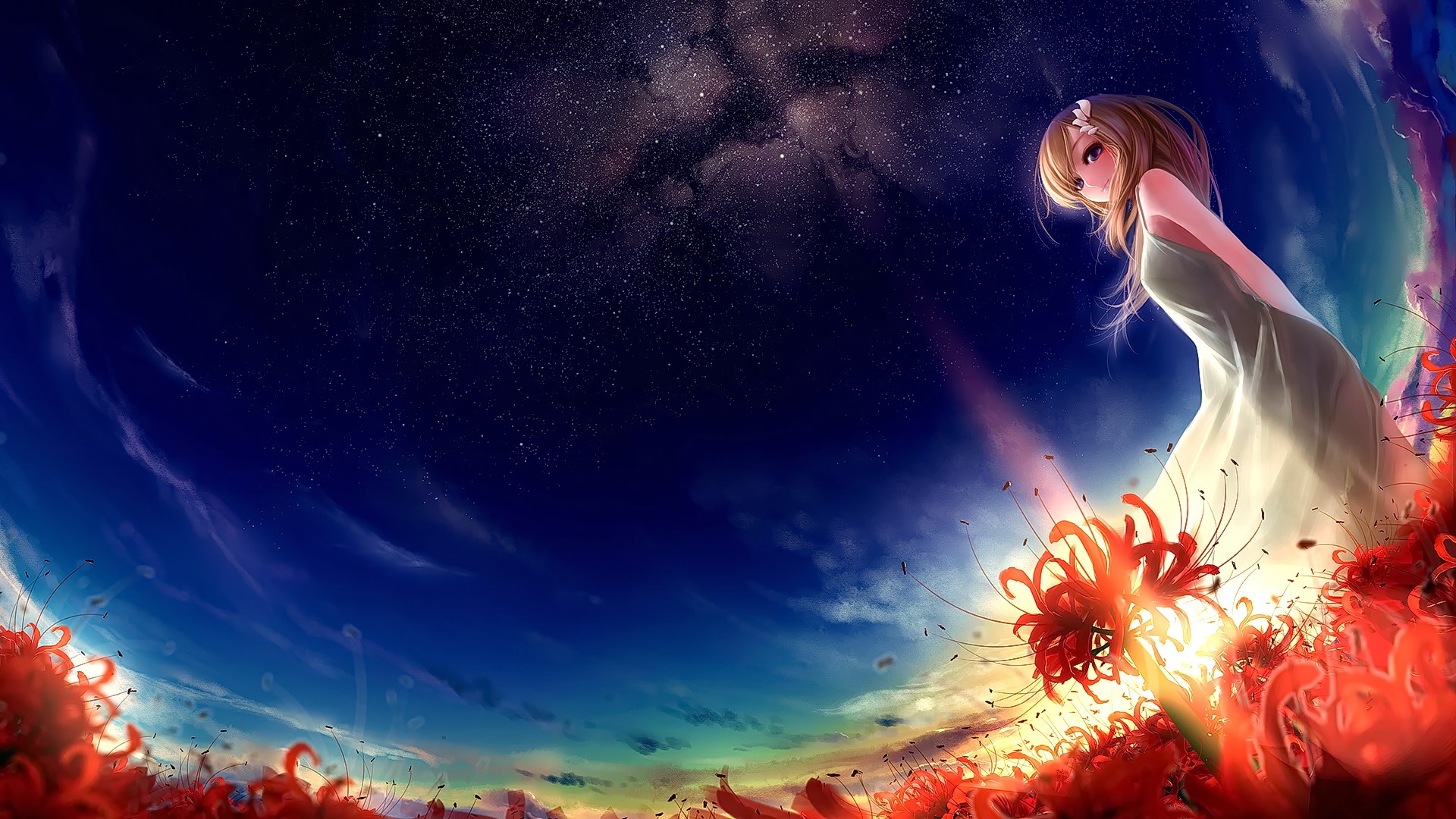 Anime girl in a field of red flowers under starry sky HD Wallpaper