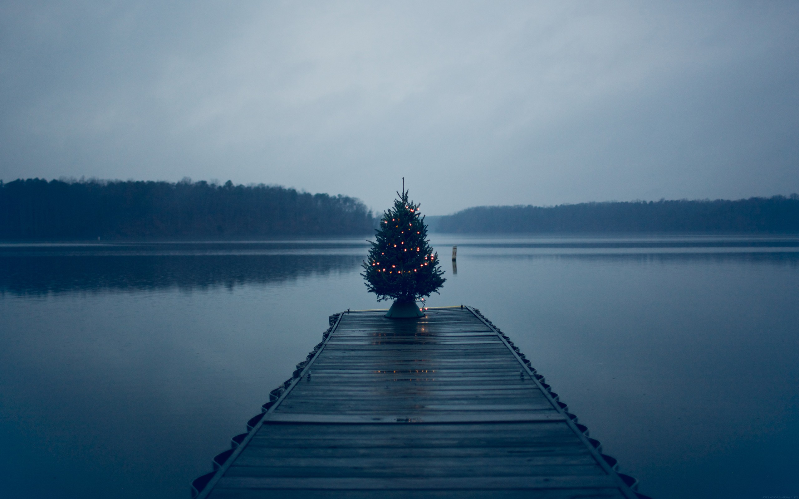 Christmas tree on a dock at a lake HD Wallpaper