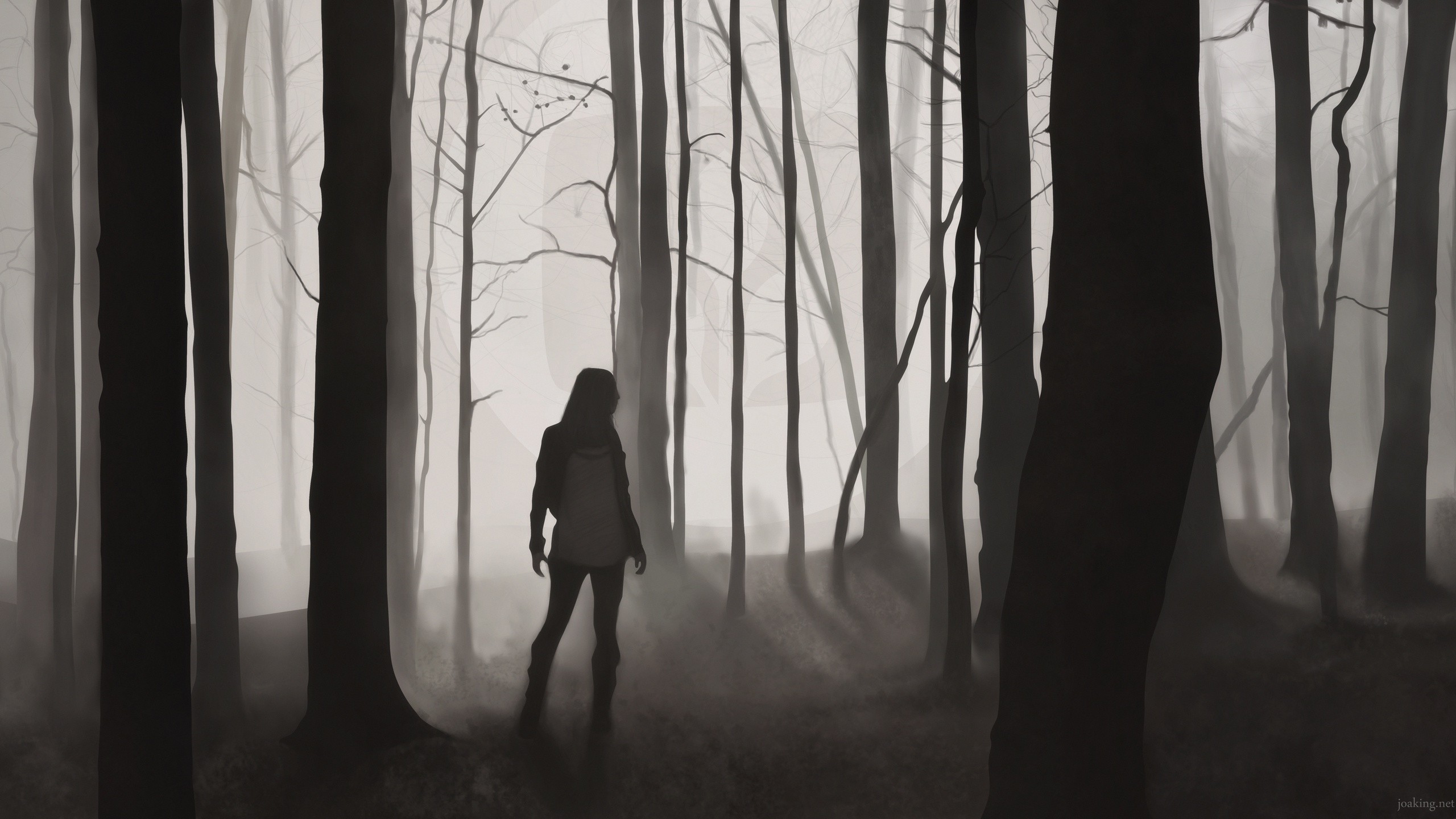 A person walks through a dark, foggy forest. HD Wallpaper