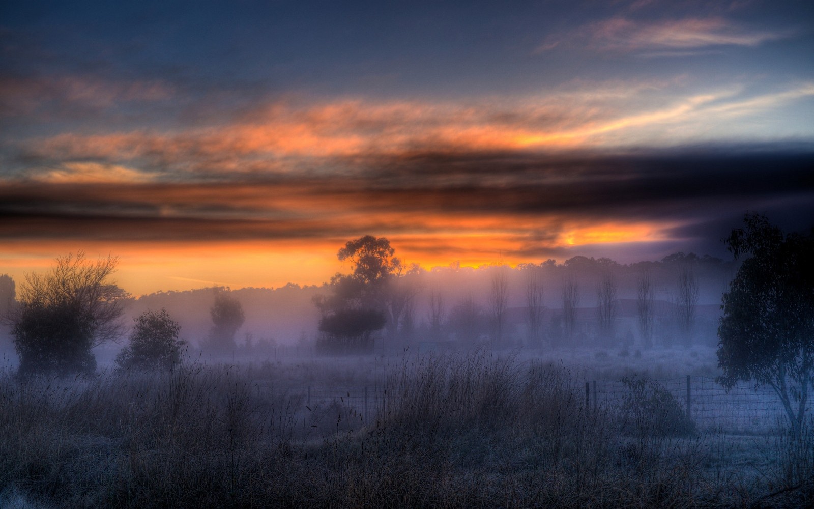 Misty morning landscape with sunrise clouds and trees HD Wallpaper