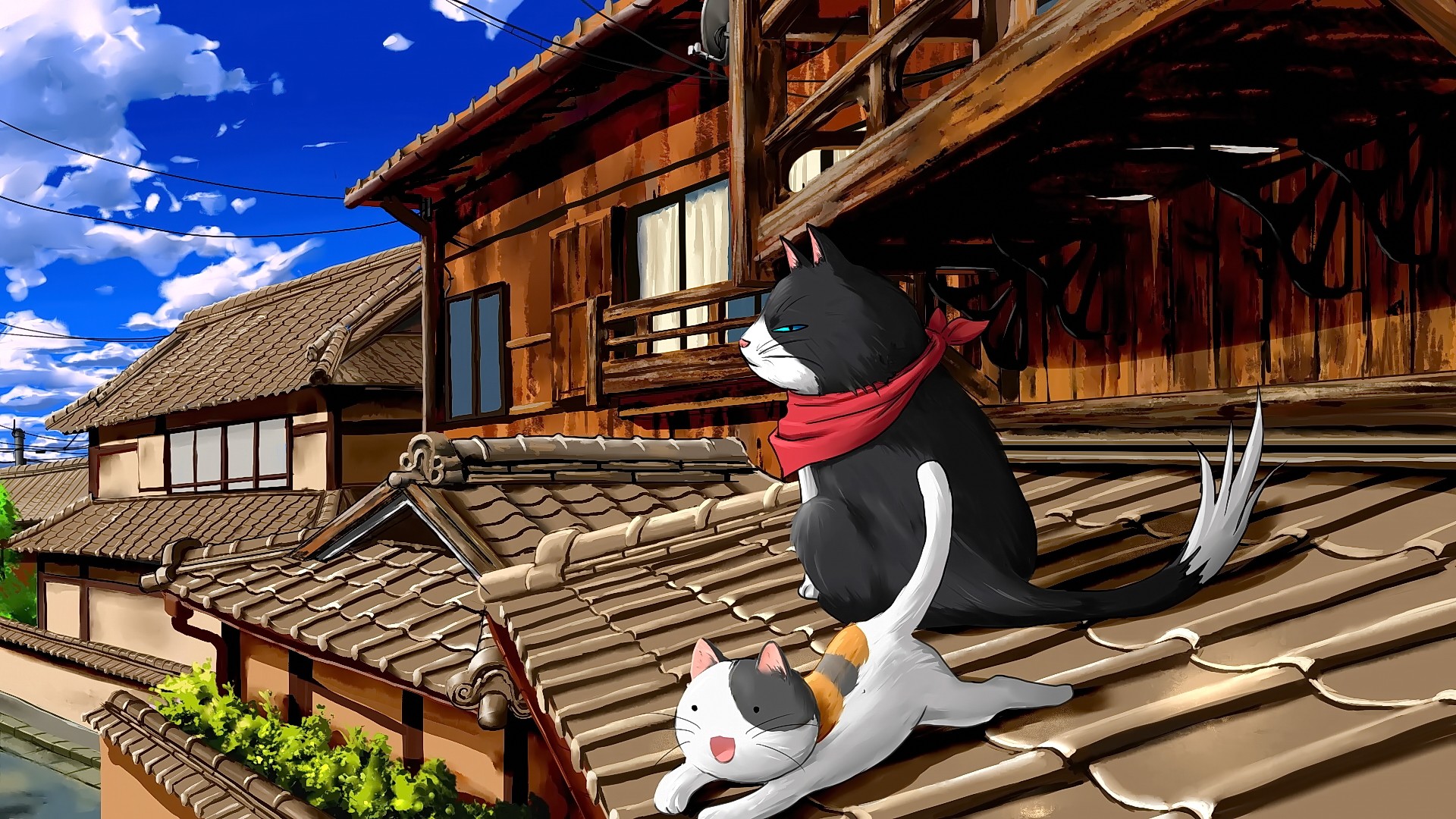 Two cats on a tiled roof in front of Japanese houses HD Wallpaper