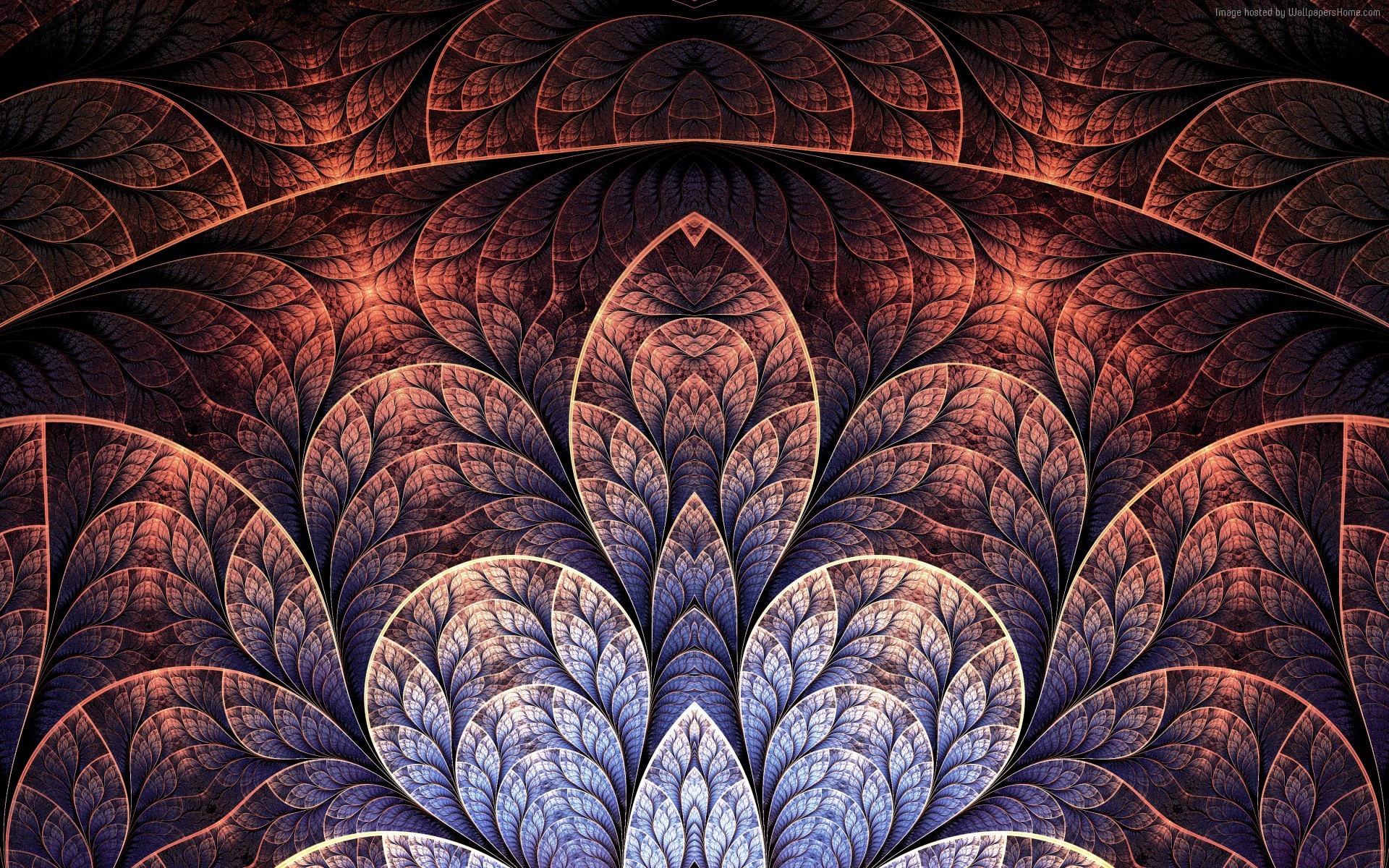Abstract fractal pattern with purple and orange hues HD Wallpaper