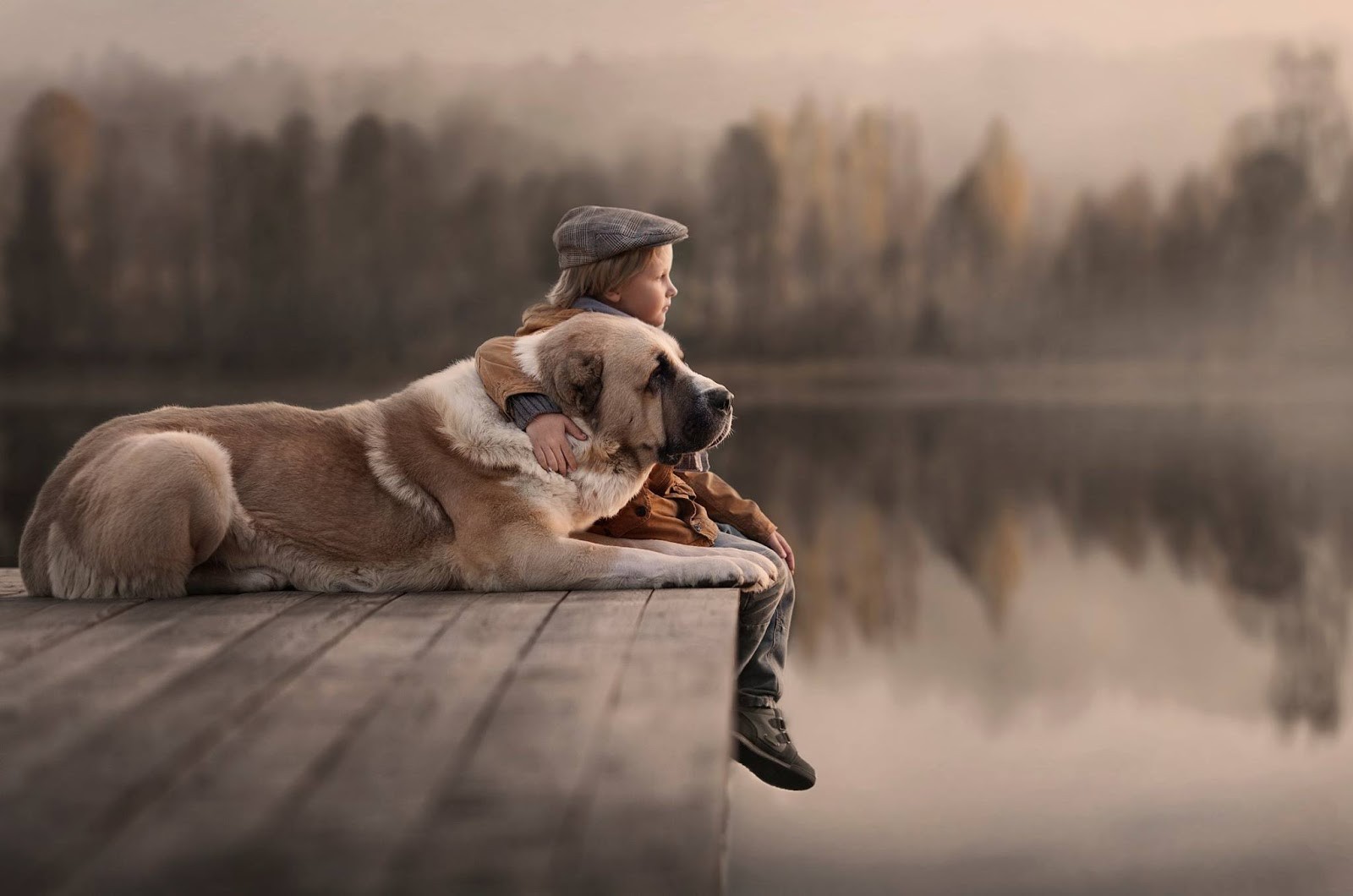 Boy and dog sitting on a dock by a misty lake HD Wallpaper