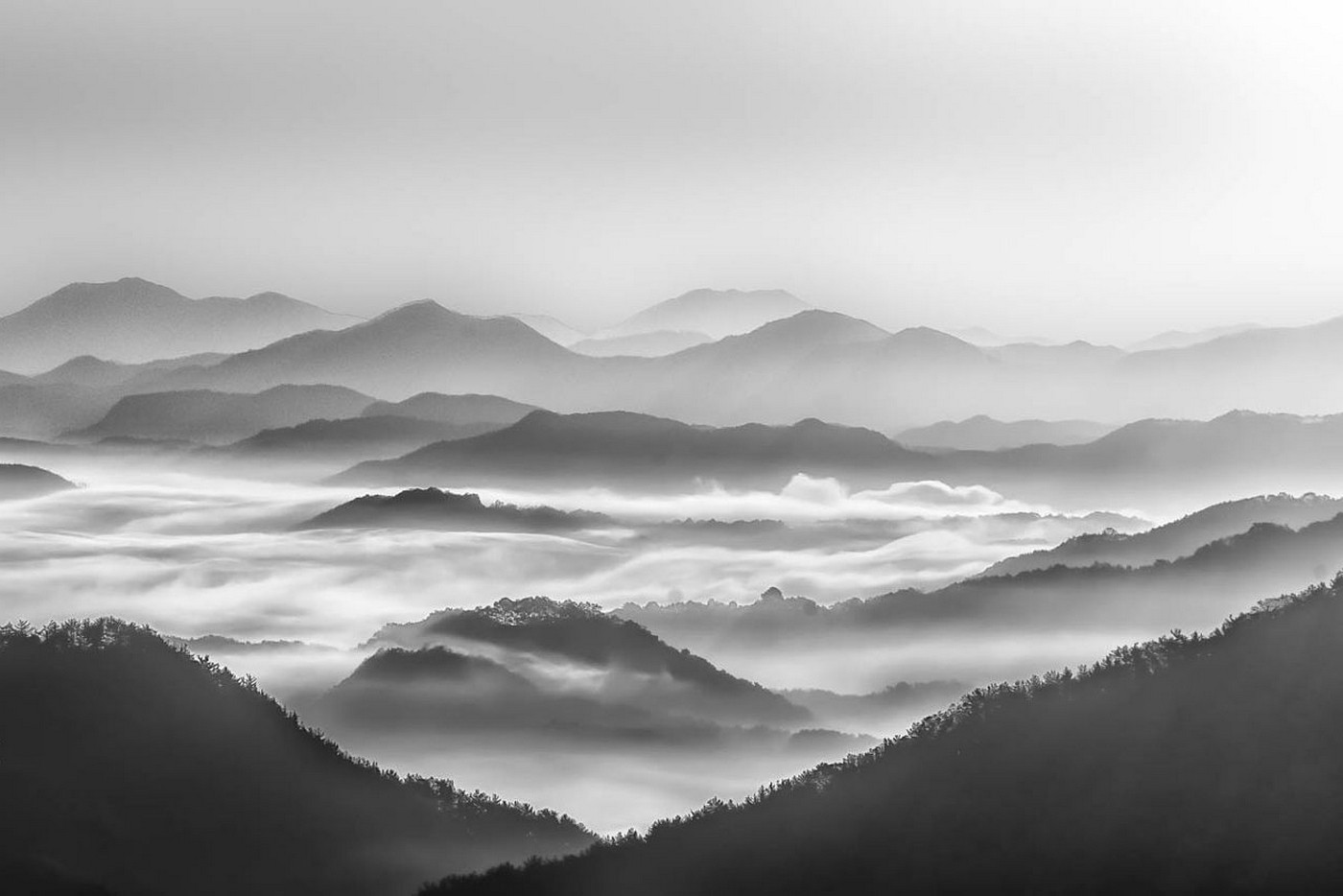 Monochrome mountains shrouded in mist at sunrise HD Wallpaper