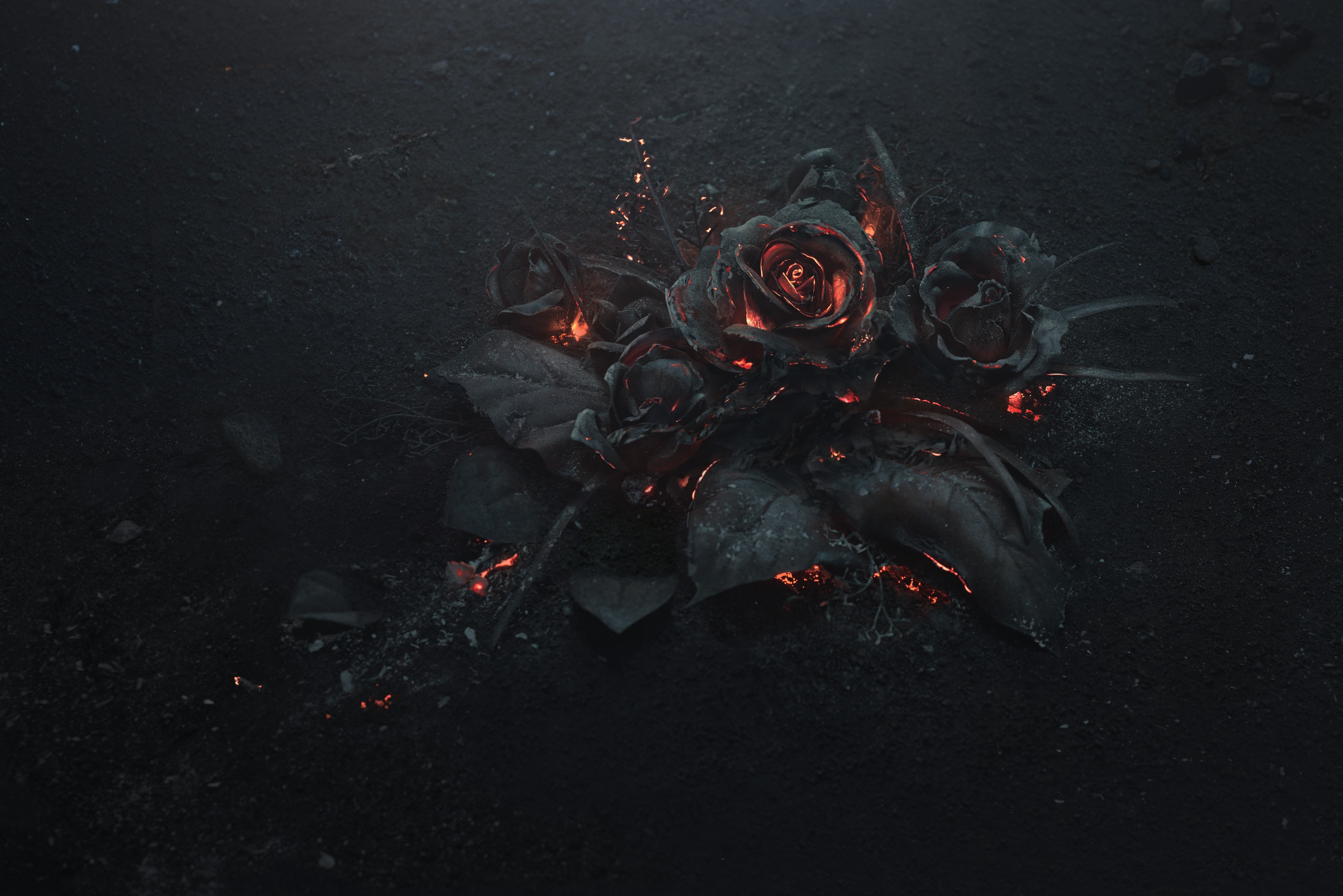 Burning black roses on dark ash HD Wallpaper