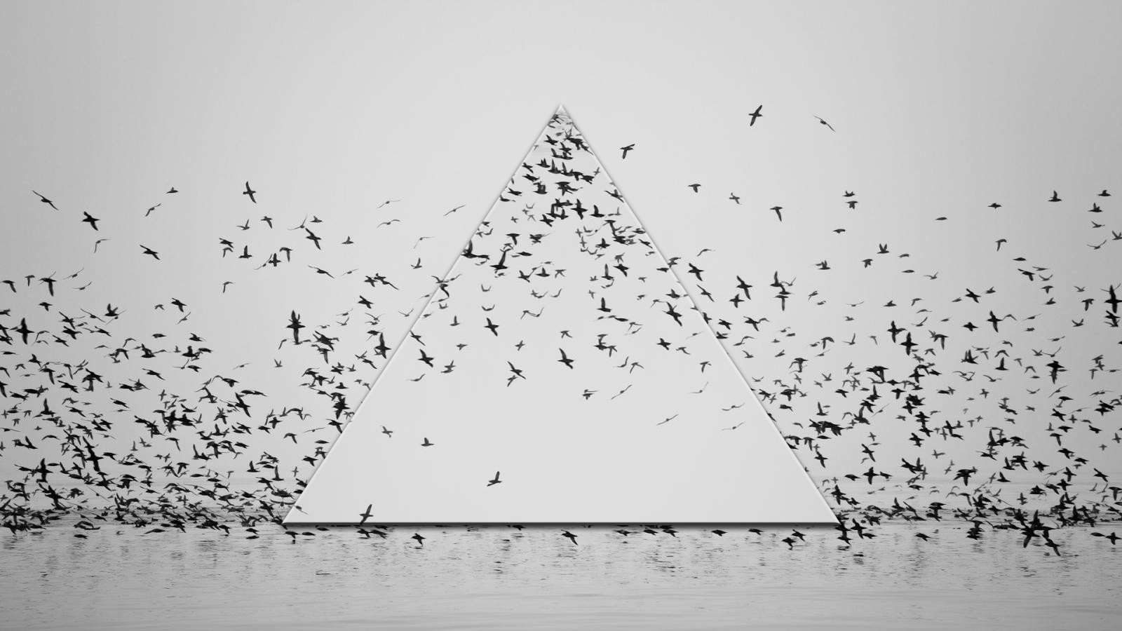 Monochrome flock of birds around a triangle over water HD Wallpaper