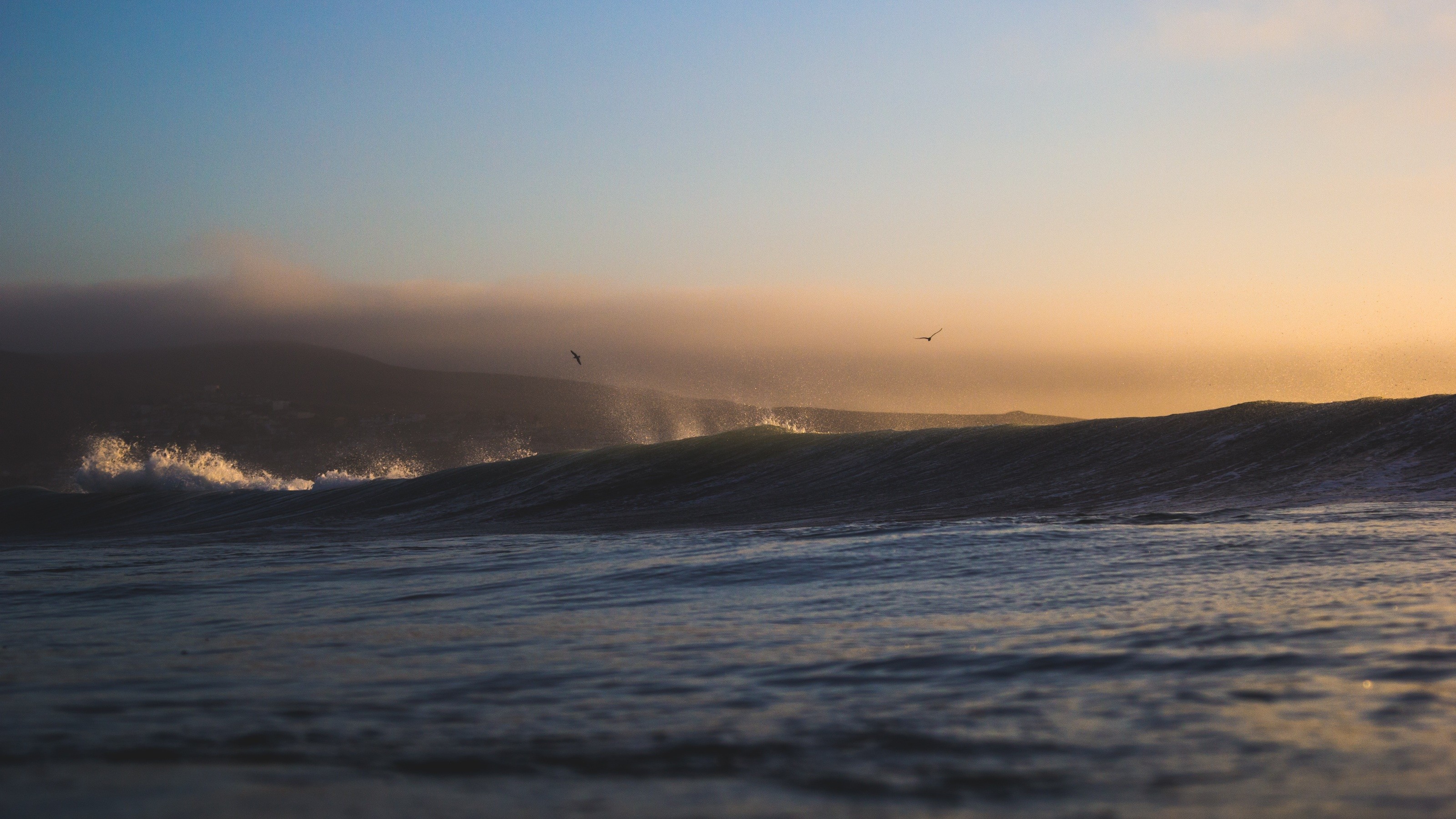 Birds flying over ocean waves at sunset HD Wallpaper