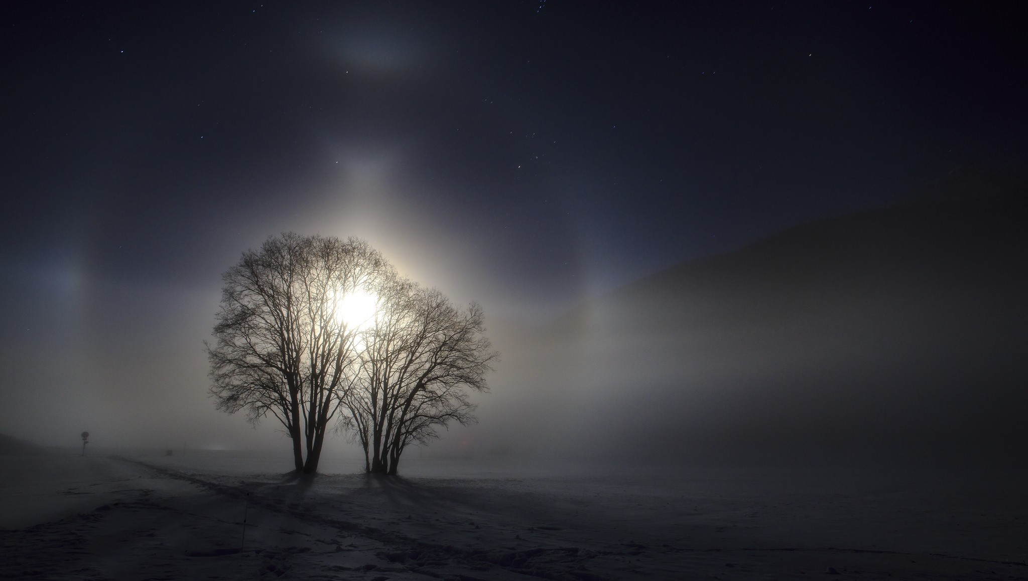 Moonlit night with trees and mist HD Wallpaper