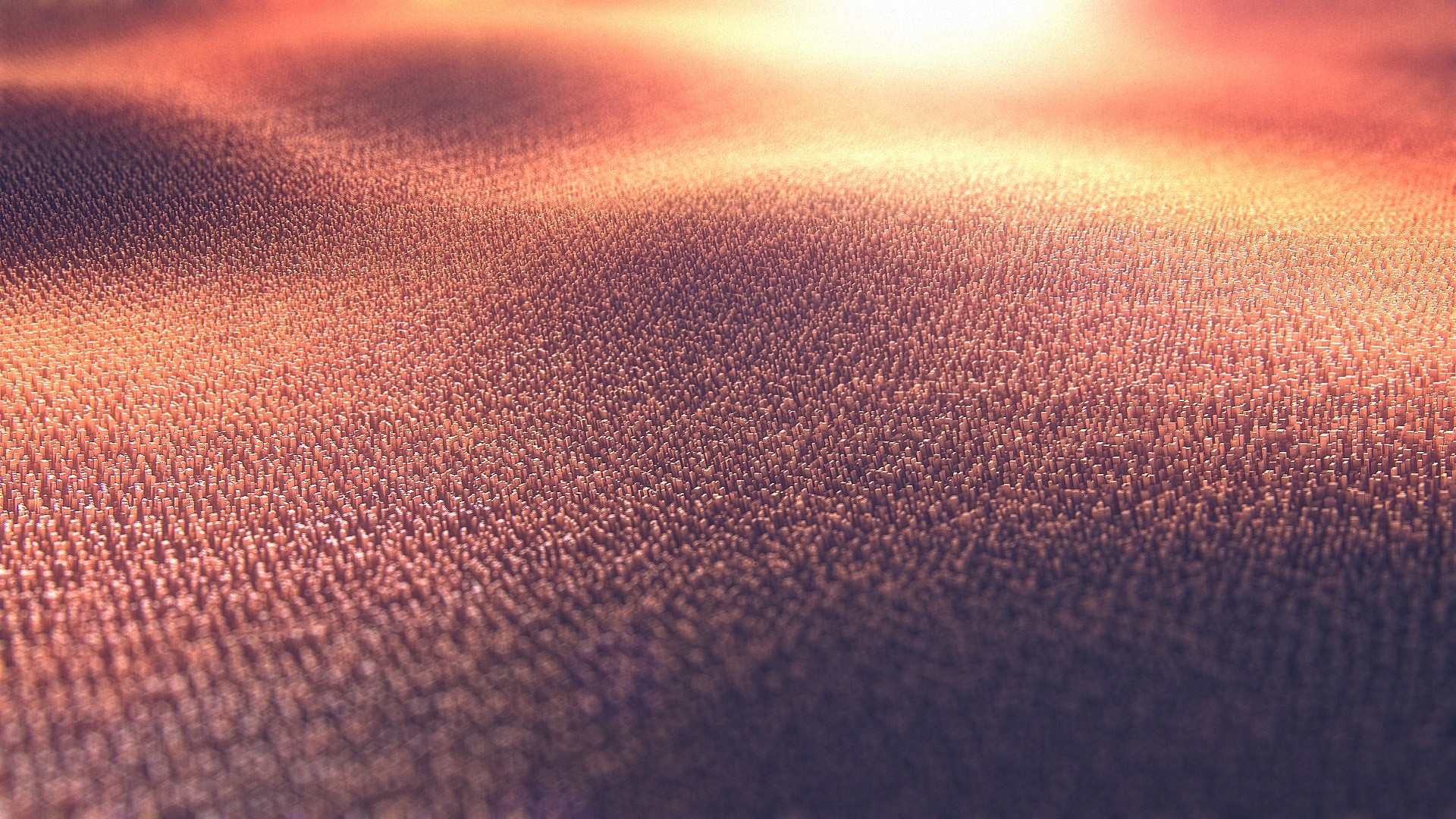 Abstract field of tiny pillars with warm lighting HD Wallpaper
