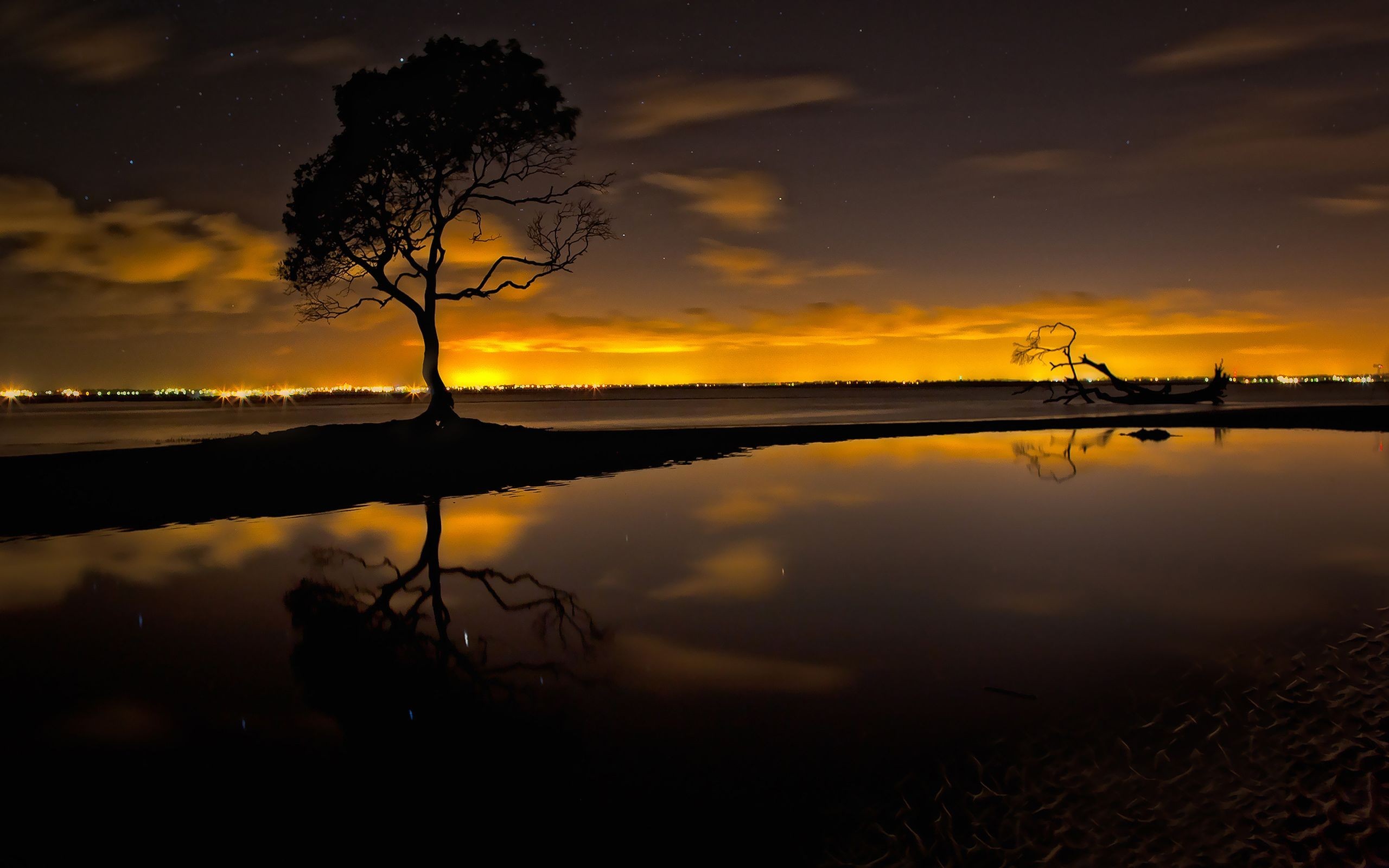 Silhouette of a tree reflected in water at night HD Wallpaper