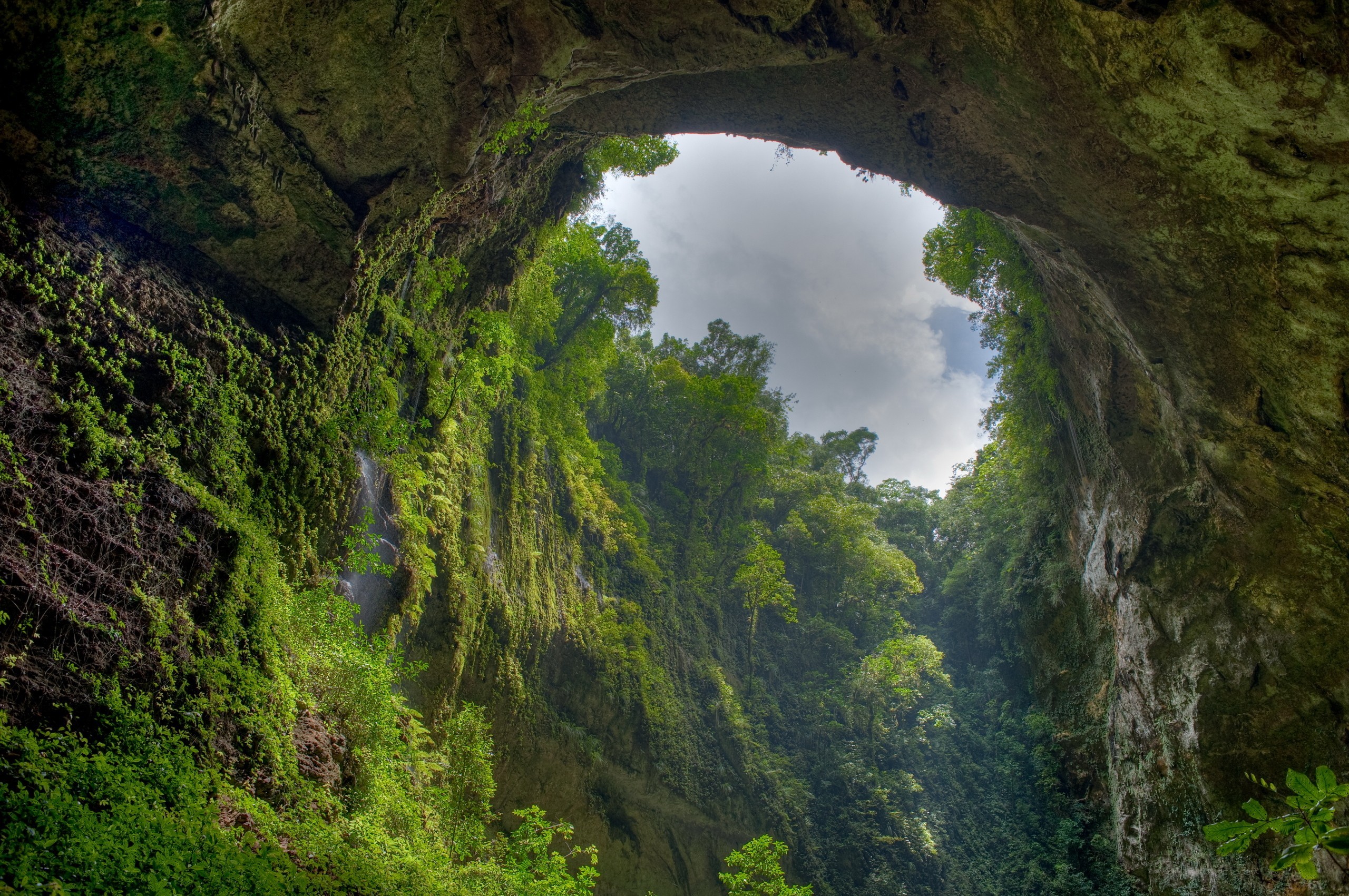Cave opening with lush green vegetation and sky HD Wallpaper