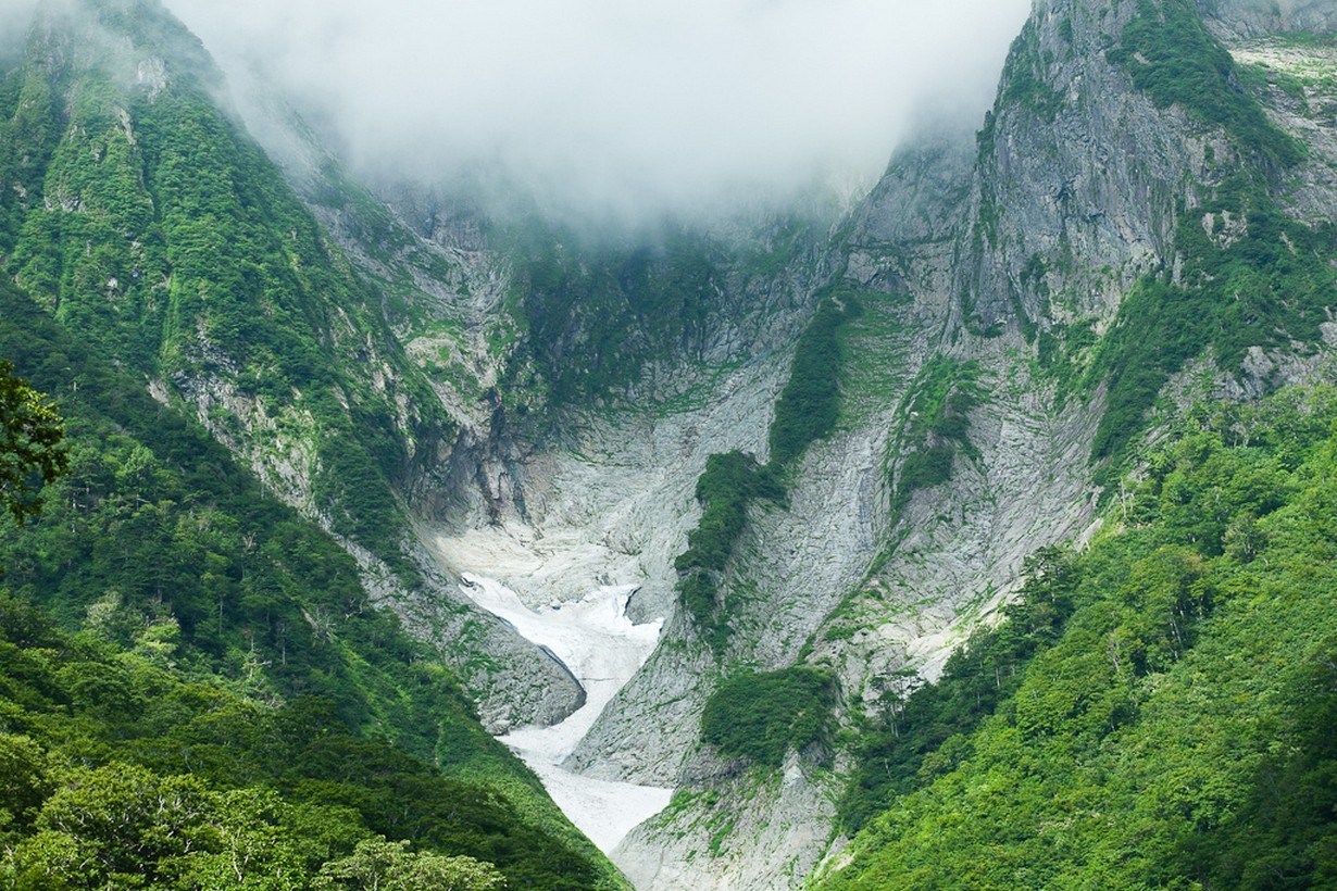 Misty mountains with snow and green trees in Japan HD Wallpaper