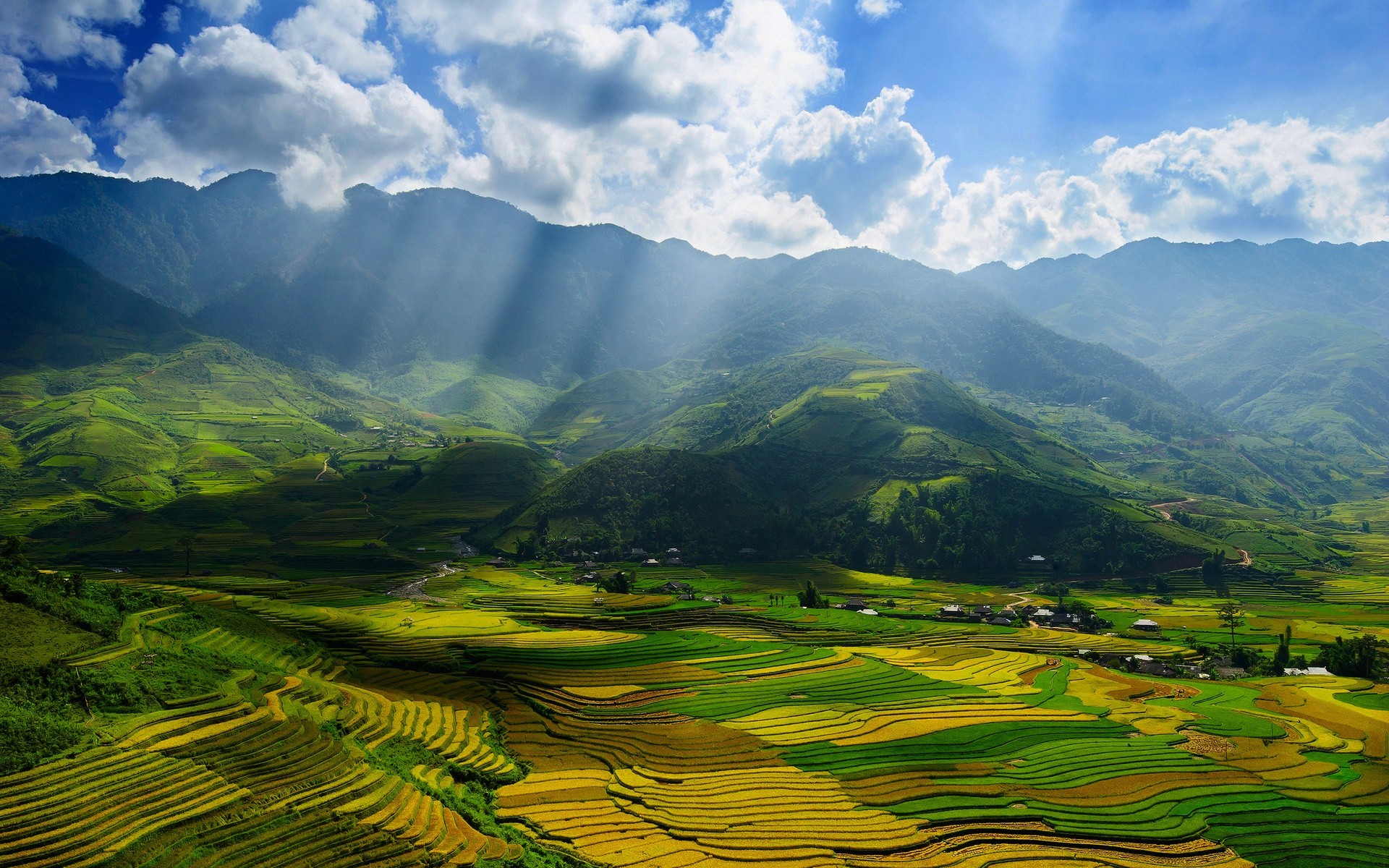 Terraced rice fields in a mountain valley HD Wallpaper