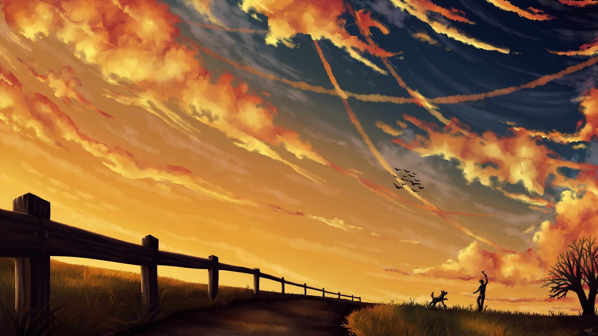 Man and dog playing at sunset with birds flying HD Wallpaper
