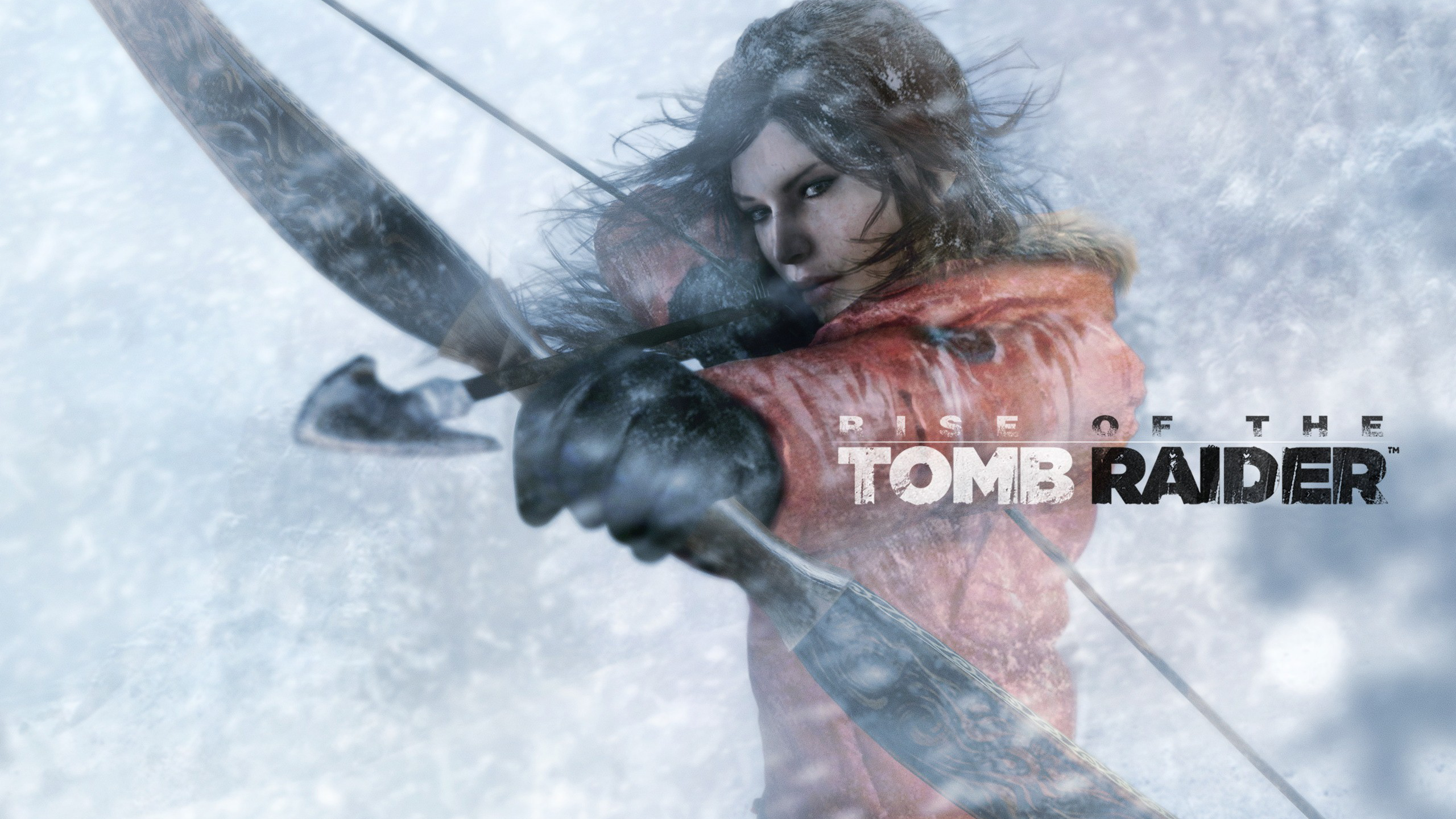 Lara Croft in Rise of the Tomb Raider HD Wallpaper