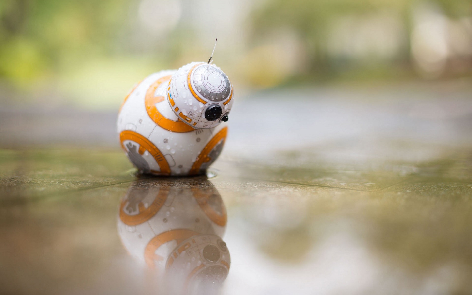 BB-8 droid with water drops on a wet surface HD Wallpaper