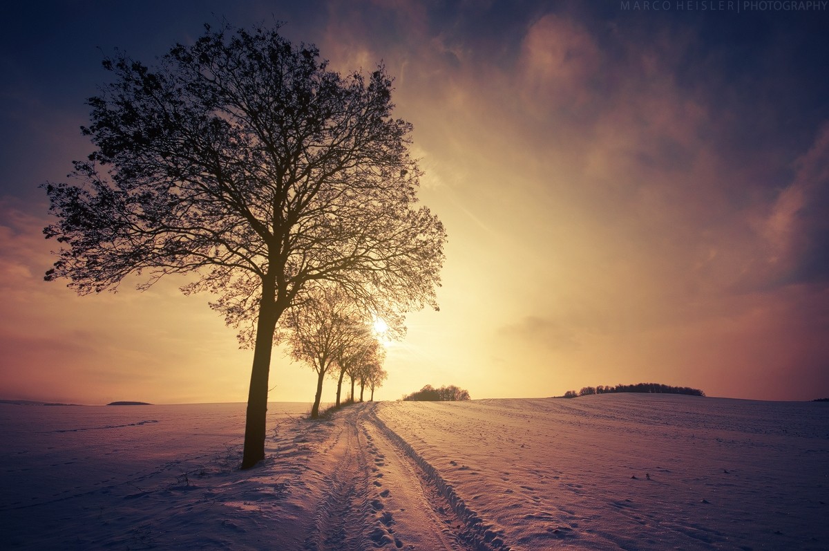 Winter sunset over a snowy landscape with trees HD Wallpaper