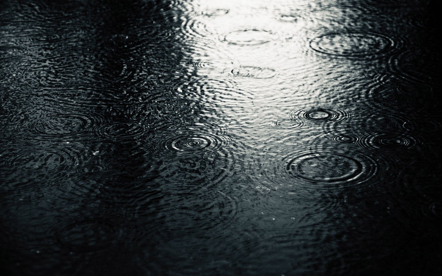 Raindrops creating ripples on a dark surface HD Wallpaper