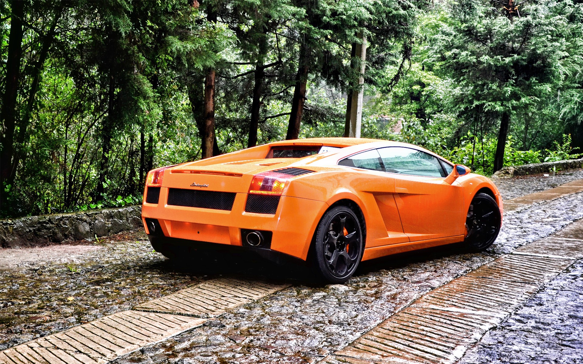 Orange Lamborghini parked on a wet forest road HD Wallpaper