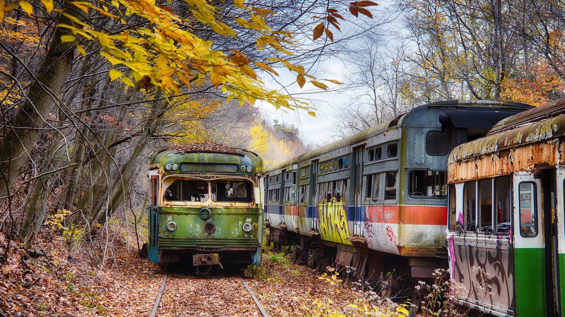 Abandoned trains in a forest during autumn HD Wallpaper