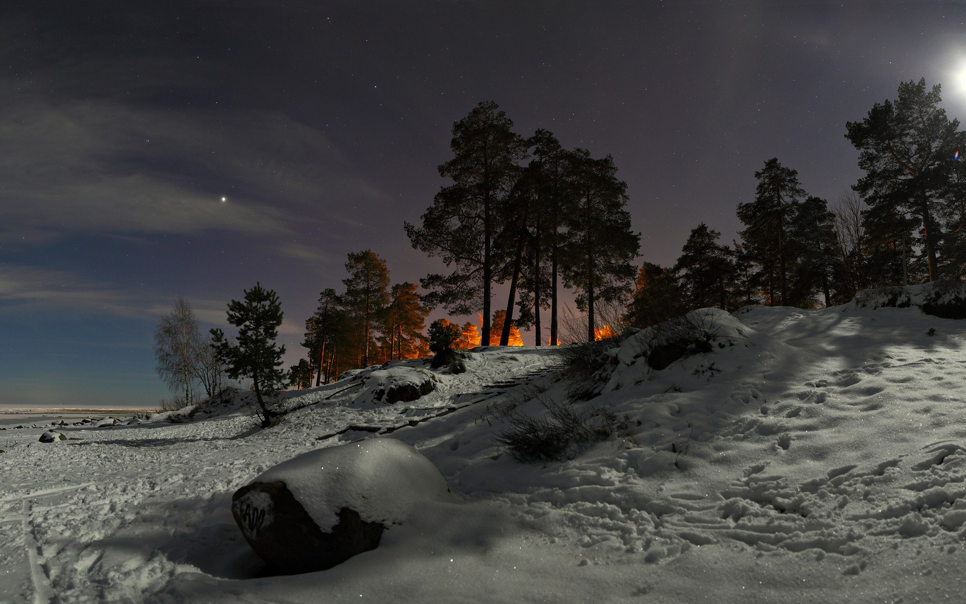 Snowy forest at night with stars and moon HD Wallpaper