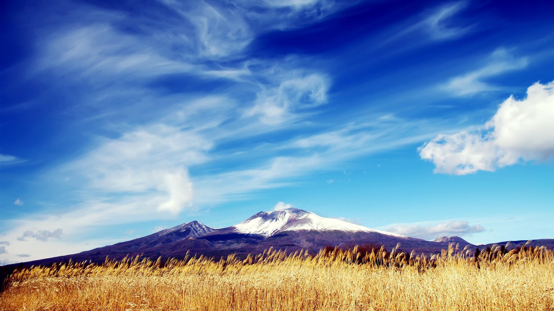 Snowy mountain peak over a field of dry grass HD Wallpaper