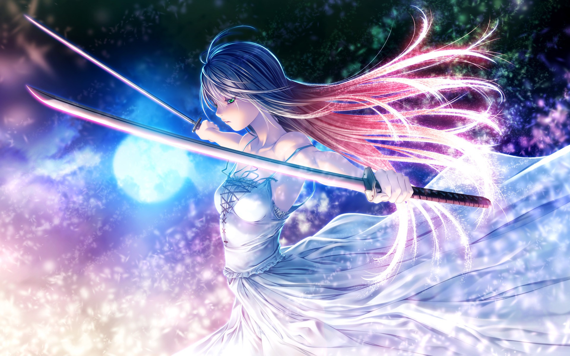 Anime girl with swords and flowing hair HD Wallpaper