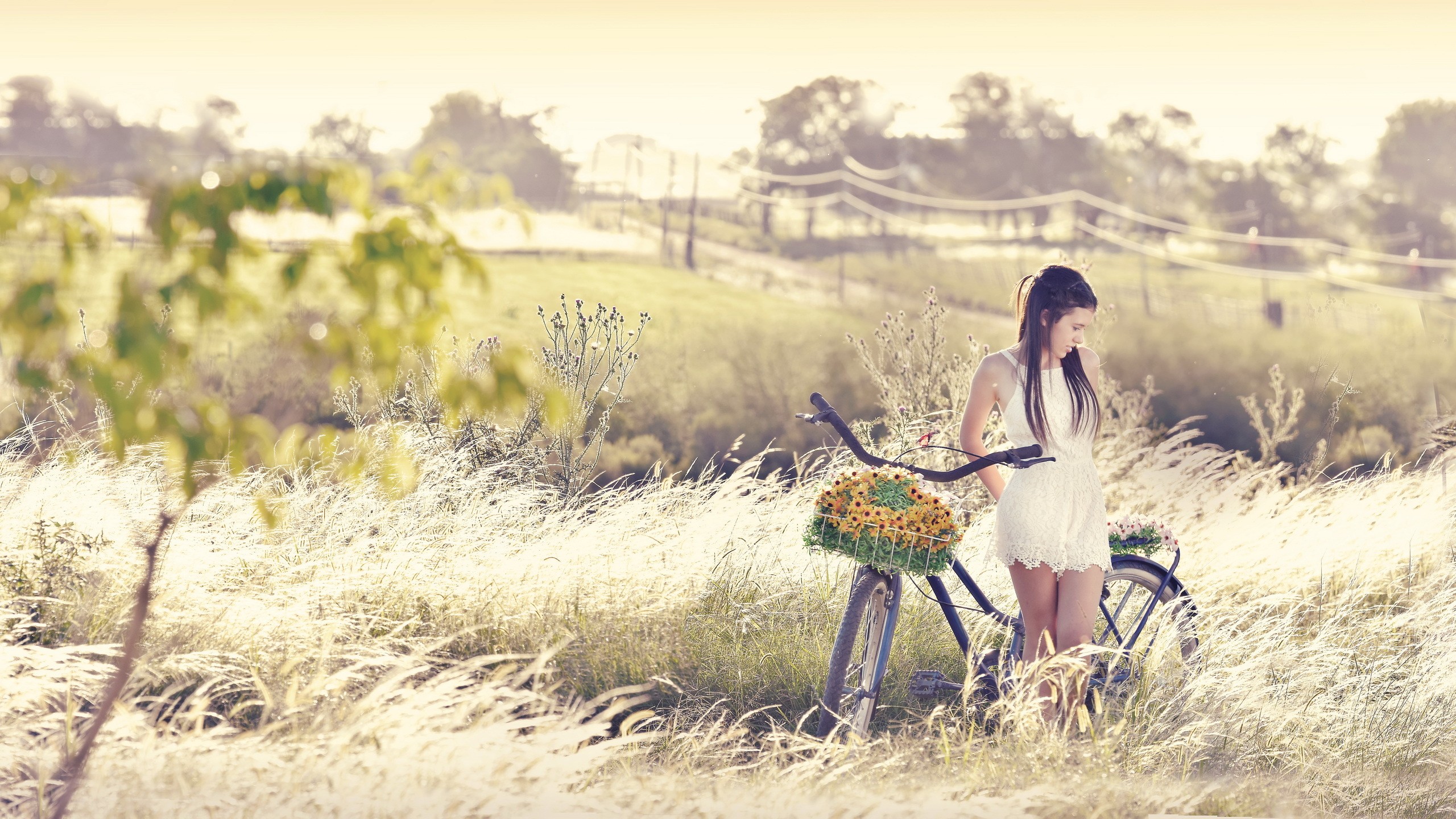 Woman in white dress with a bicycle in a field HD Wallpaper