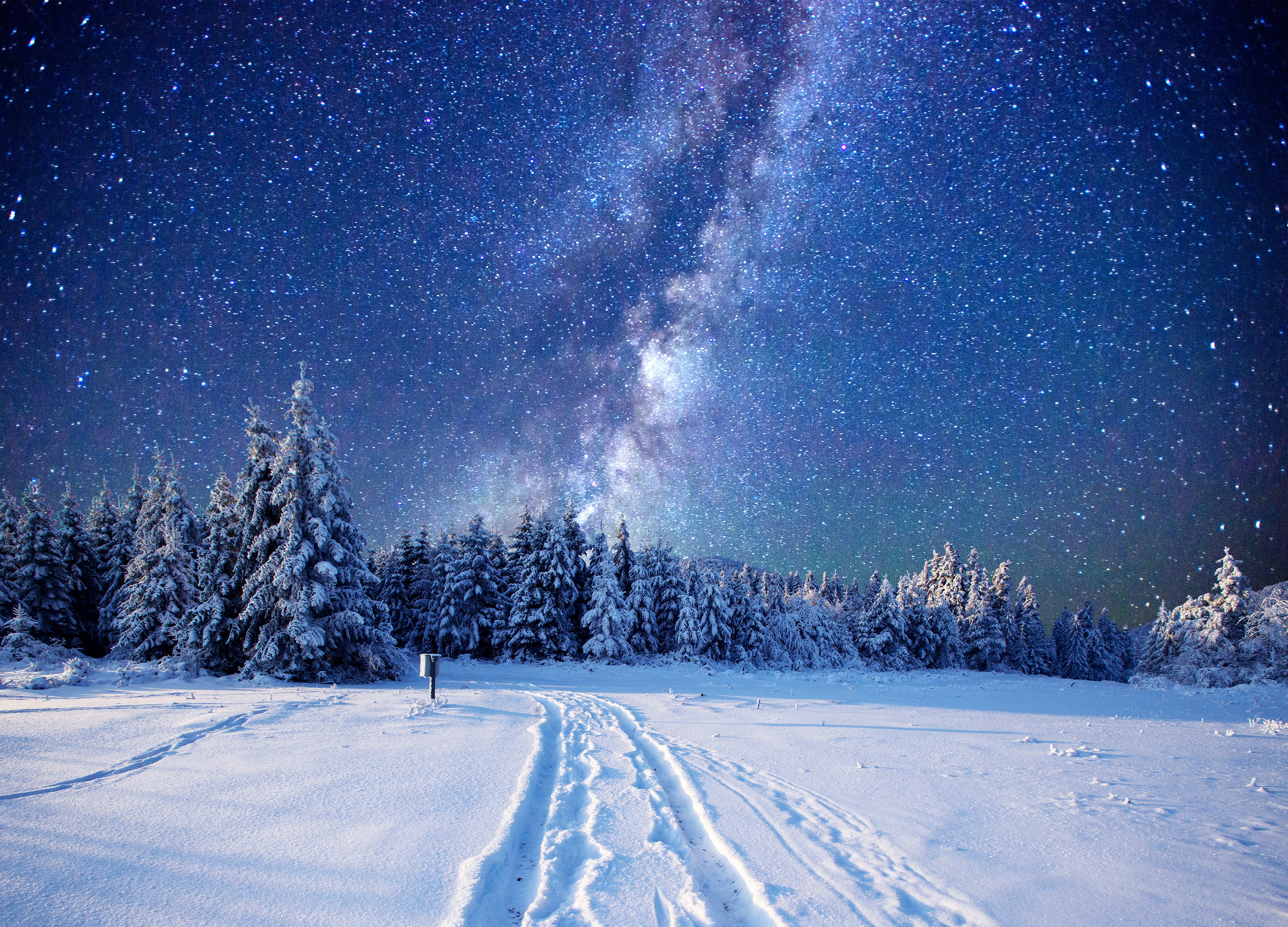 Snowy forest under the Milky Way HD Wallpaper