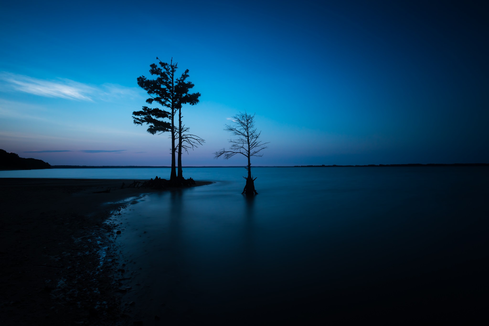 Two trees in a lake at dusk HD Wallpaper