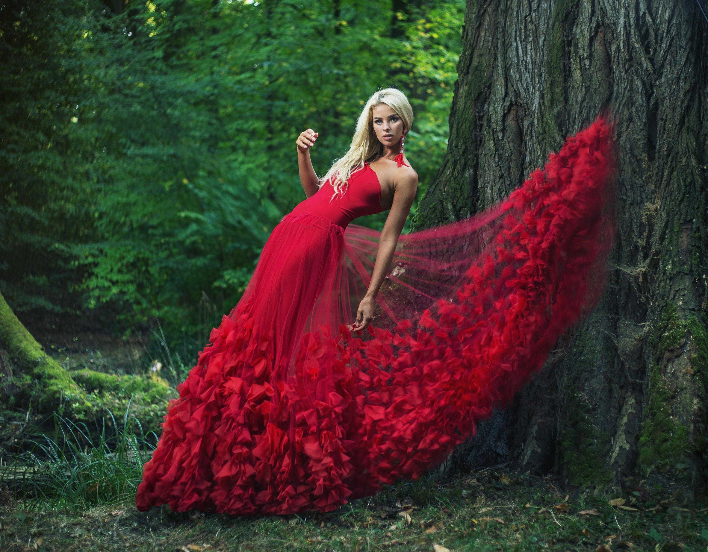 Woman in a red dress in a forest HD Wallpaper