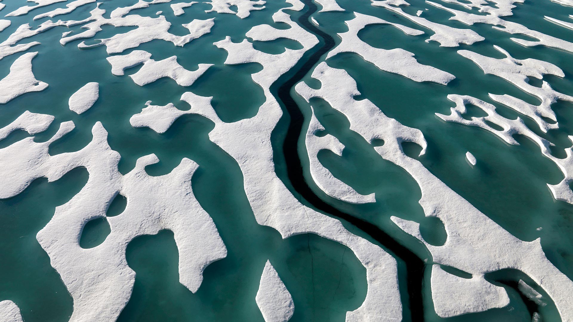 Aerial view of melting ice floes in the Arctic HD Wallpaper