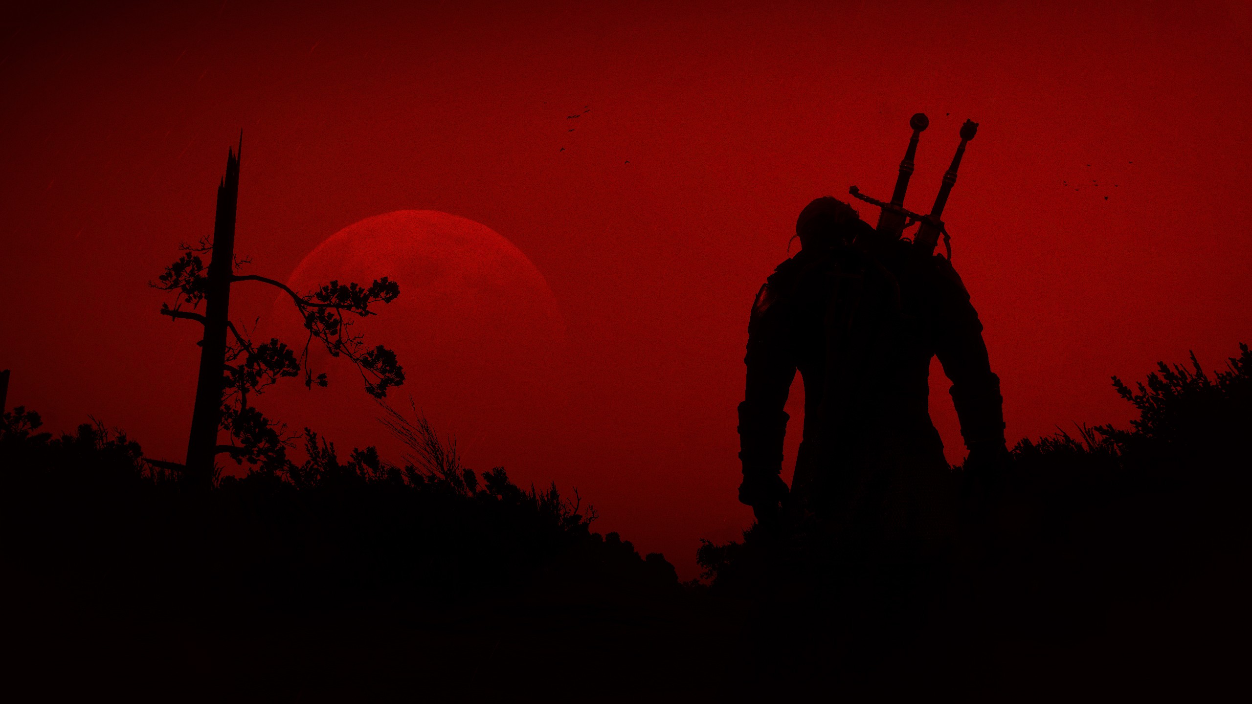 The Witcher 3: Wild Hunt silhouette against red moon HD Wallpaper