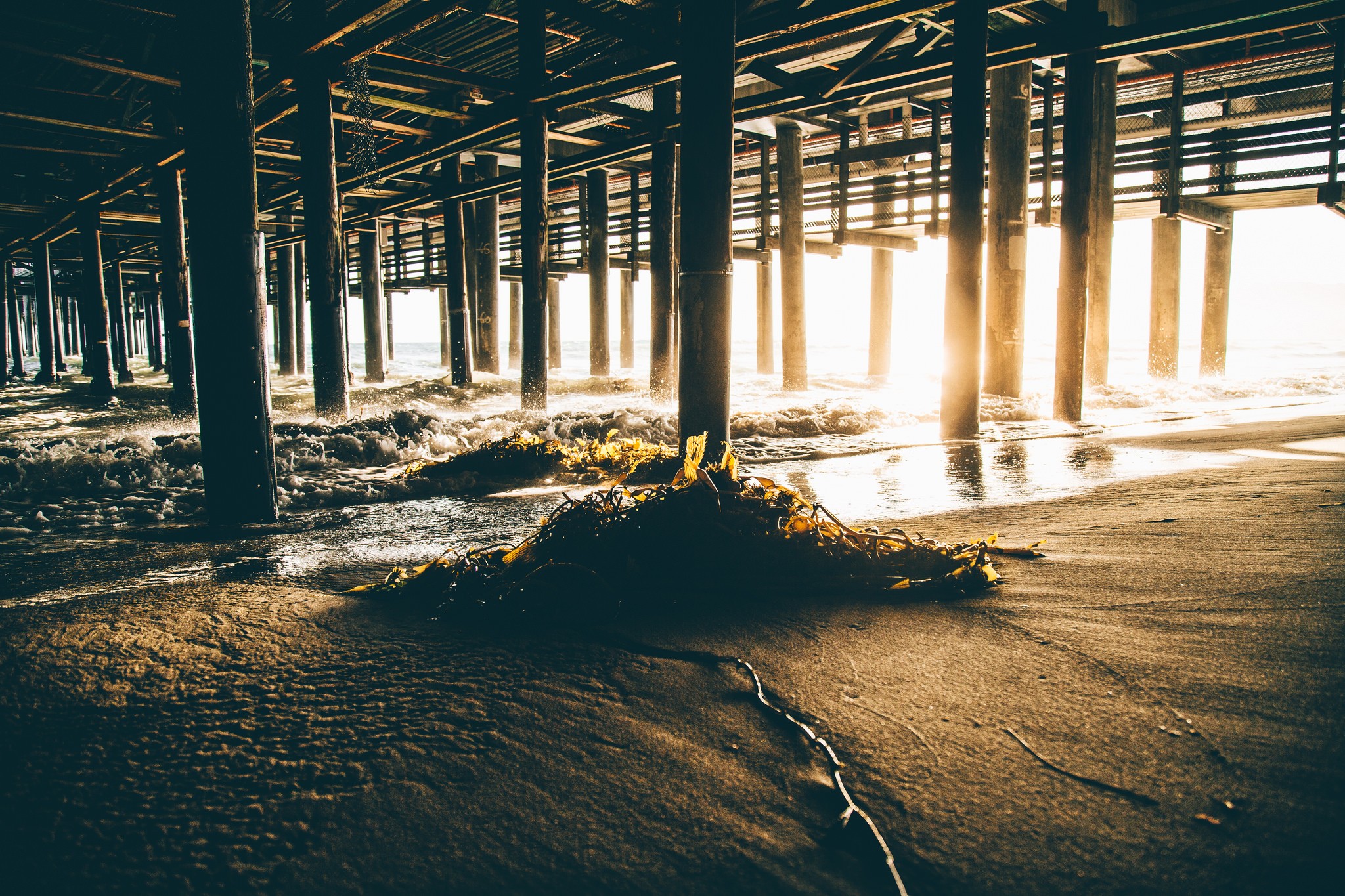 Sunlight pier California beach seaweed sunset sand HD Wallpaper