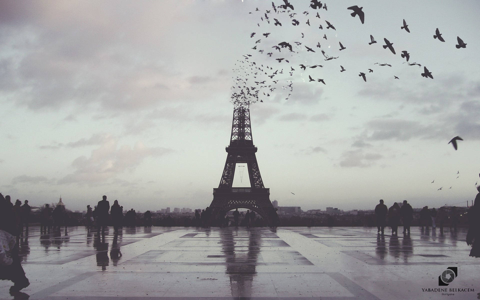 Eiffel Tower with birds flying out of it in Paris HD Wallpaper