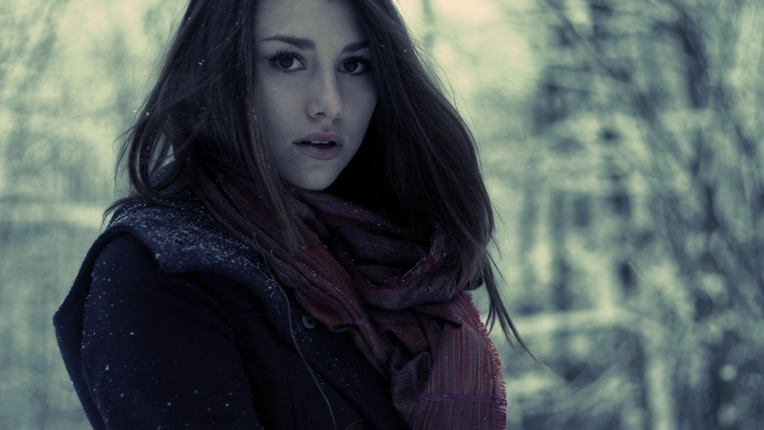 Woman in winter with scarf looking at viewer HD Wallpaper