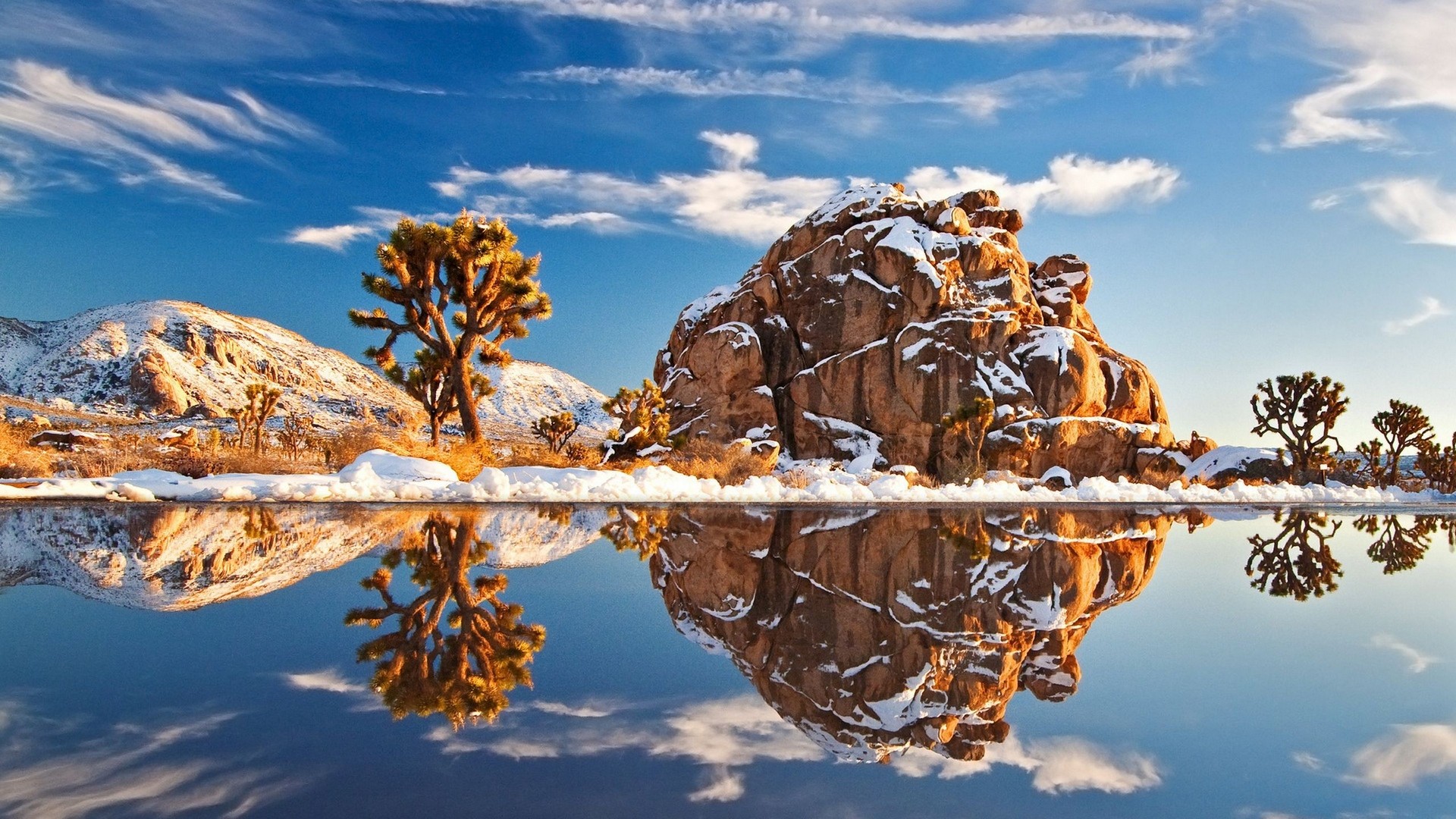 Joshua trees and rocks reflected in a lake with snow HD Wallpaper