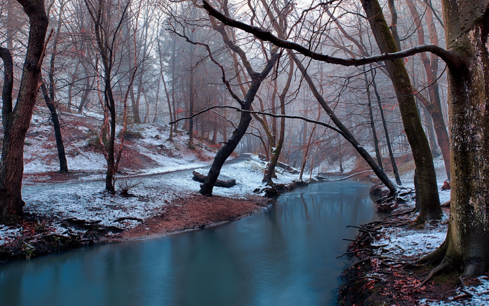 Winter forest with a stream and snow HD Wallpaper