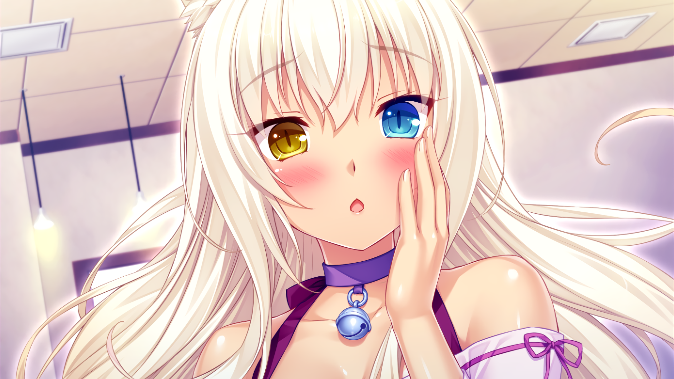 Coconut from Neko Para with heterochromia HD Wallpaper