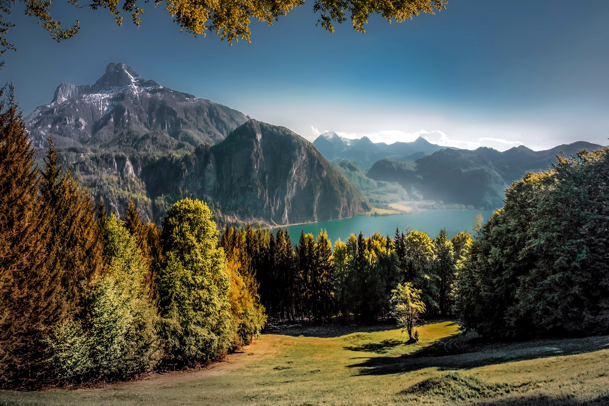 Mountain lake and forest landscape HD Wallpaper