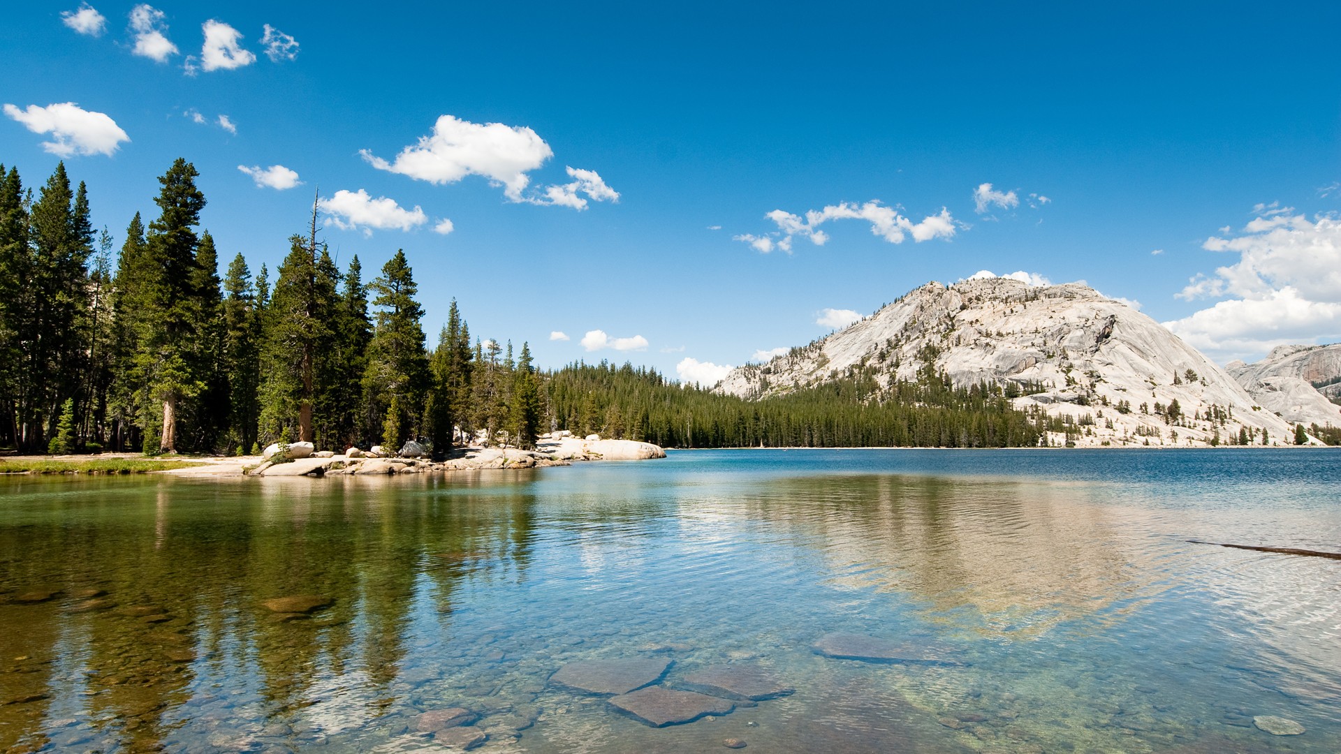 Yosemite National Park lake with pine trees and mountains HD Wallpaper
