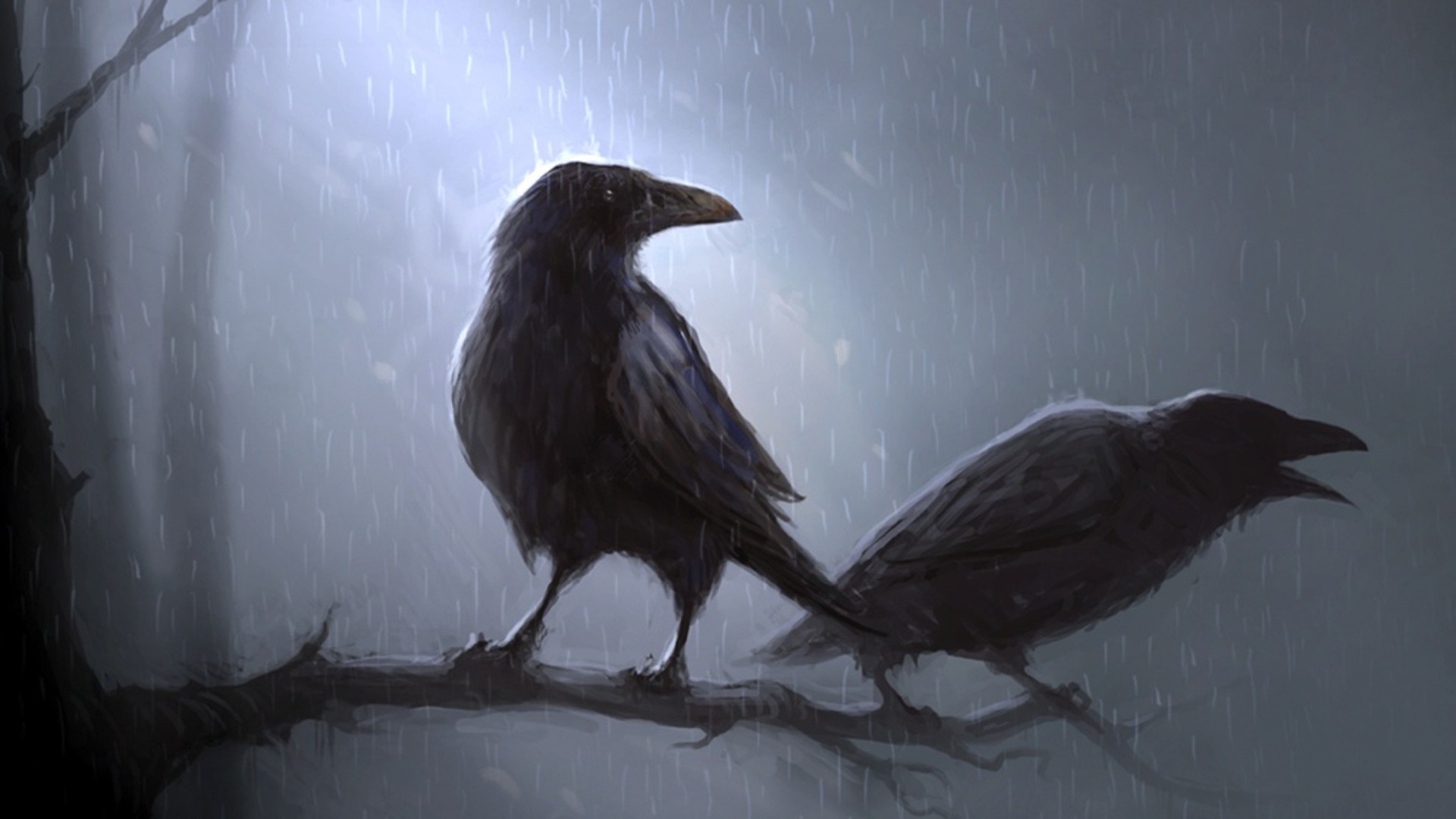 Two ravens perched on a branch in the rain HD Wallpaper