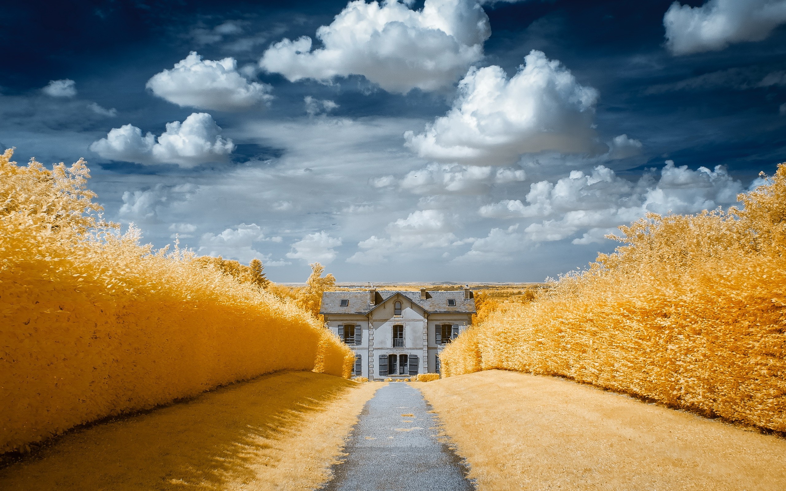 A house with yellow trees and clouds HD Wallpaper
