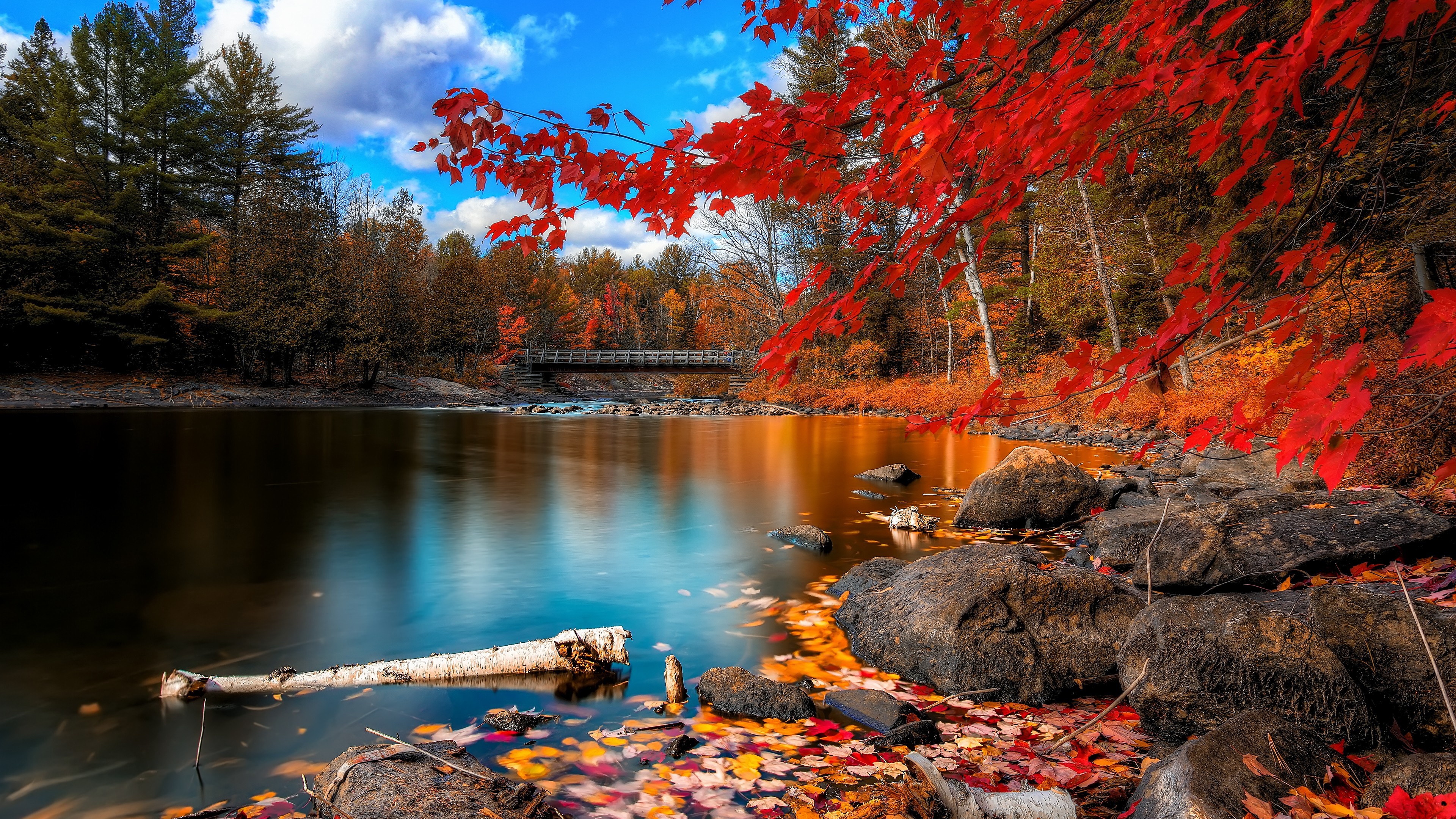 Autumn landscape with a river and a bridge HD Wallpaper