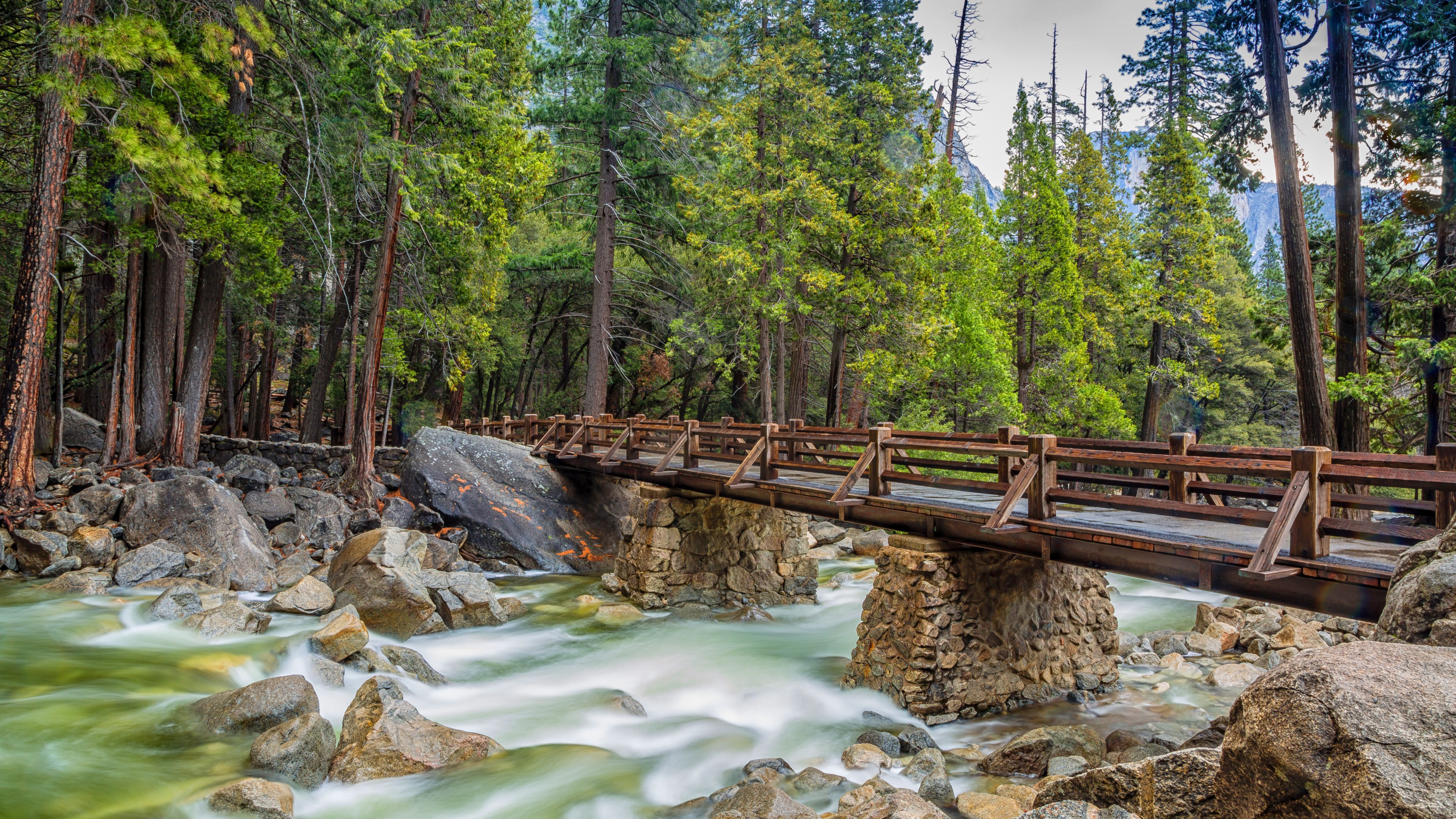 Wooden bridge over a river in a forest HD Wallpaper