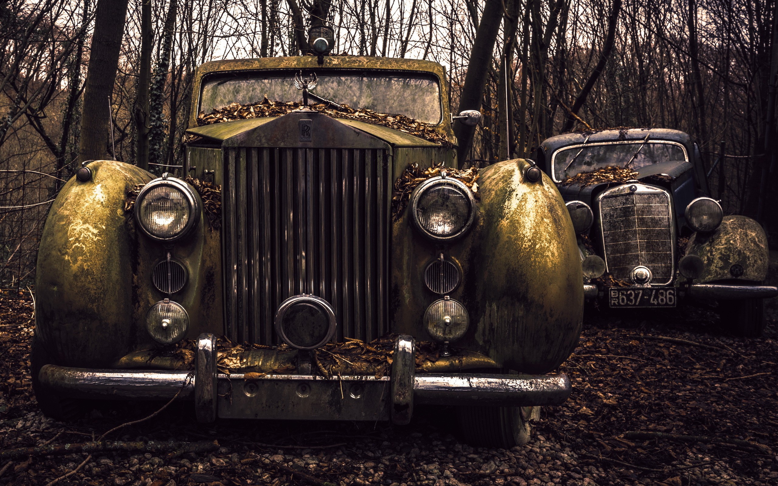 Two abandoned vintage cars in a forest HD Wallpaper