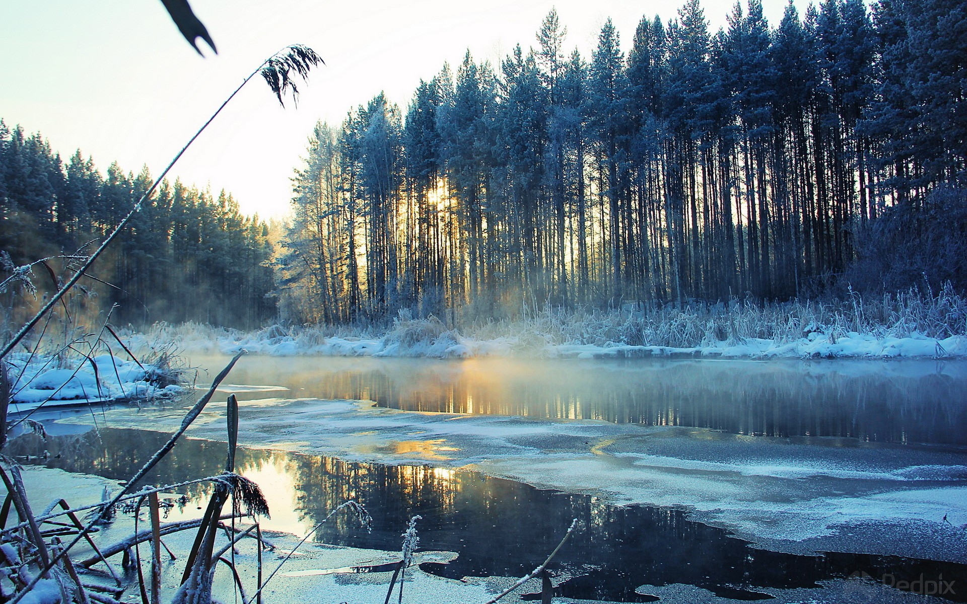 Winter landscape with a frozen river and forest HD Wallpaper